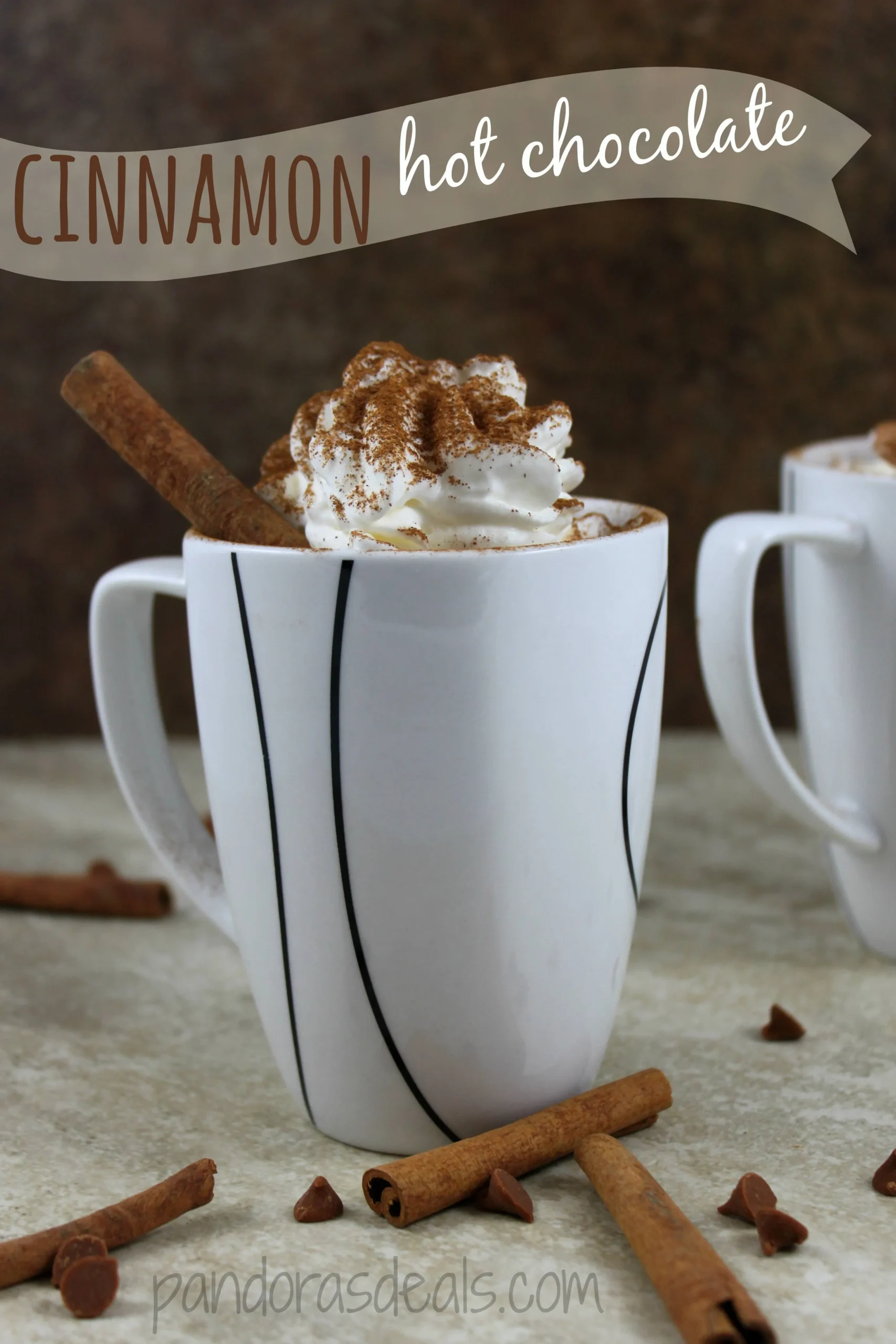Homemade Cinnamon Hot Chocolate