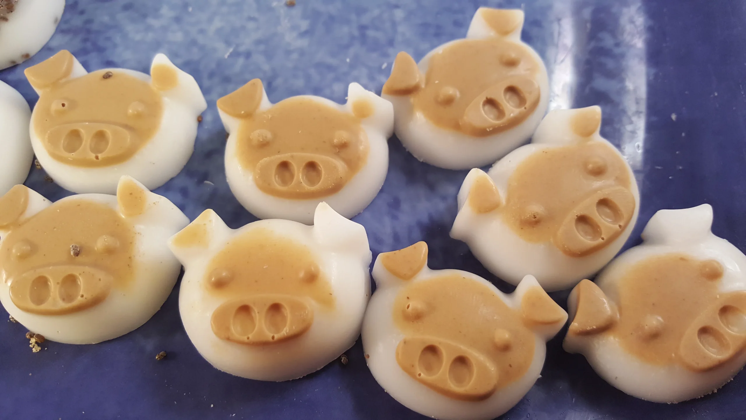Homemade Pig Treats with Coconut Oil