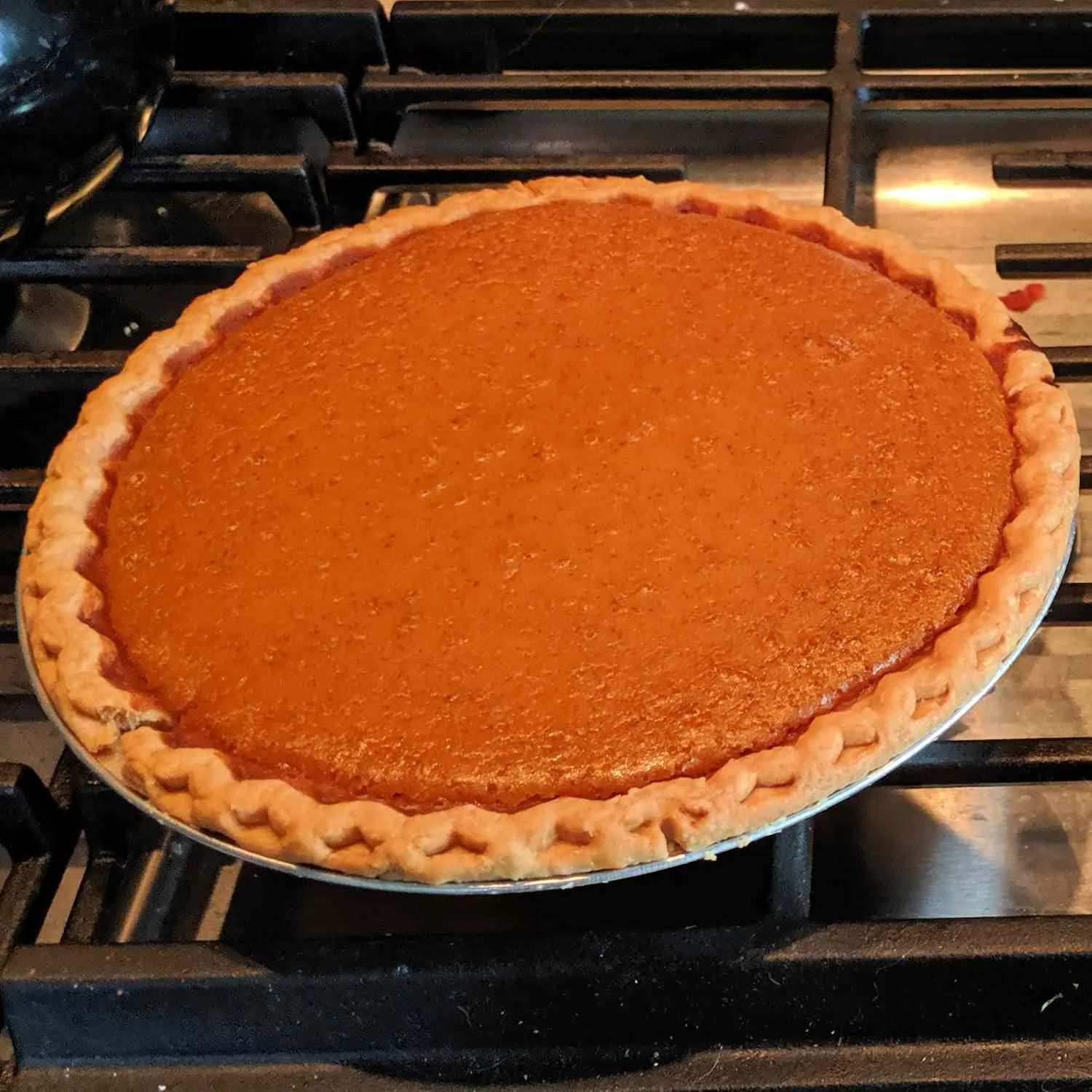 Hubbard Squash Pie for Thanksgiving