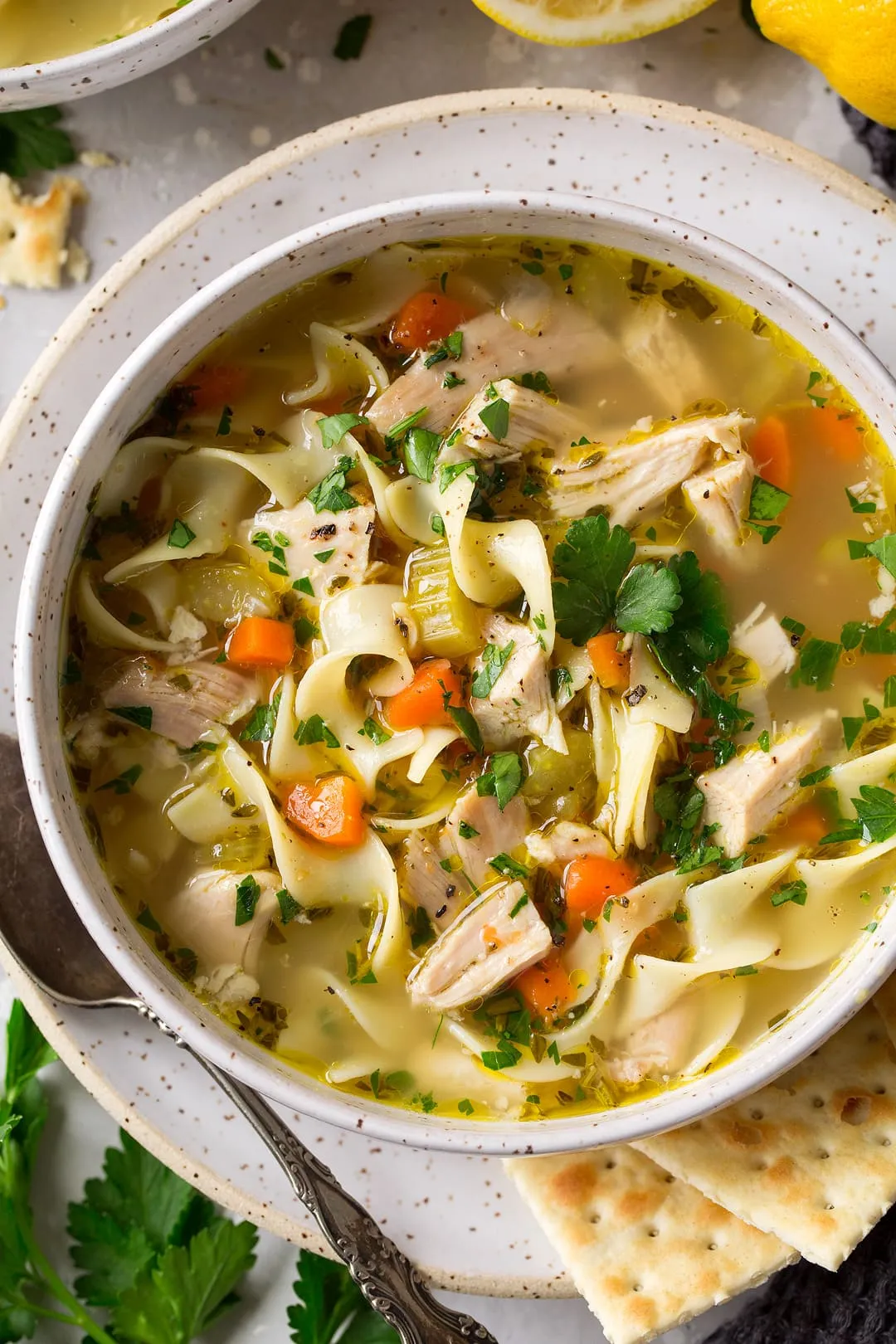 Instant Pot Chicken Noodle Soup Homestyle