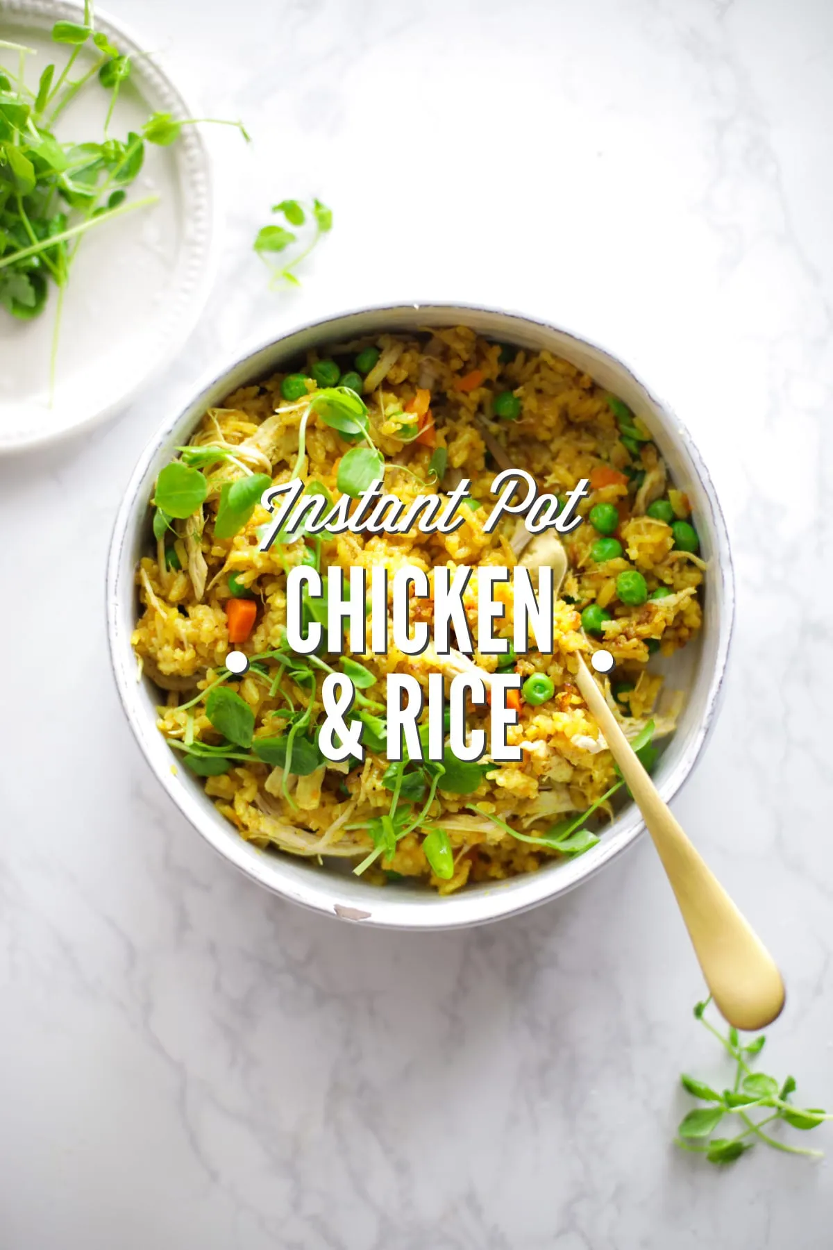 Instant Pot Chicken Yellow Rice