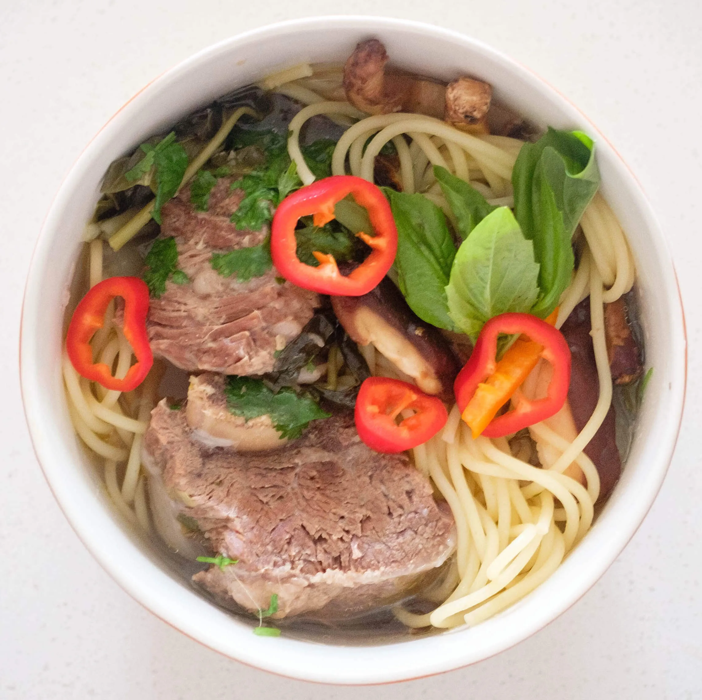 Instant Pot Chinese Beef Noodle Soup with Short Ribs