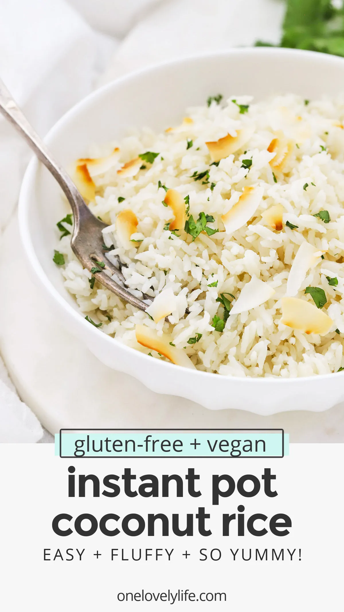 Instant Pot Coconut Rice Vegan