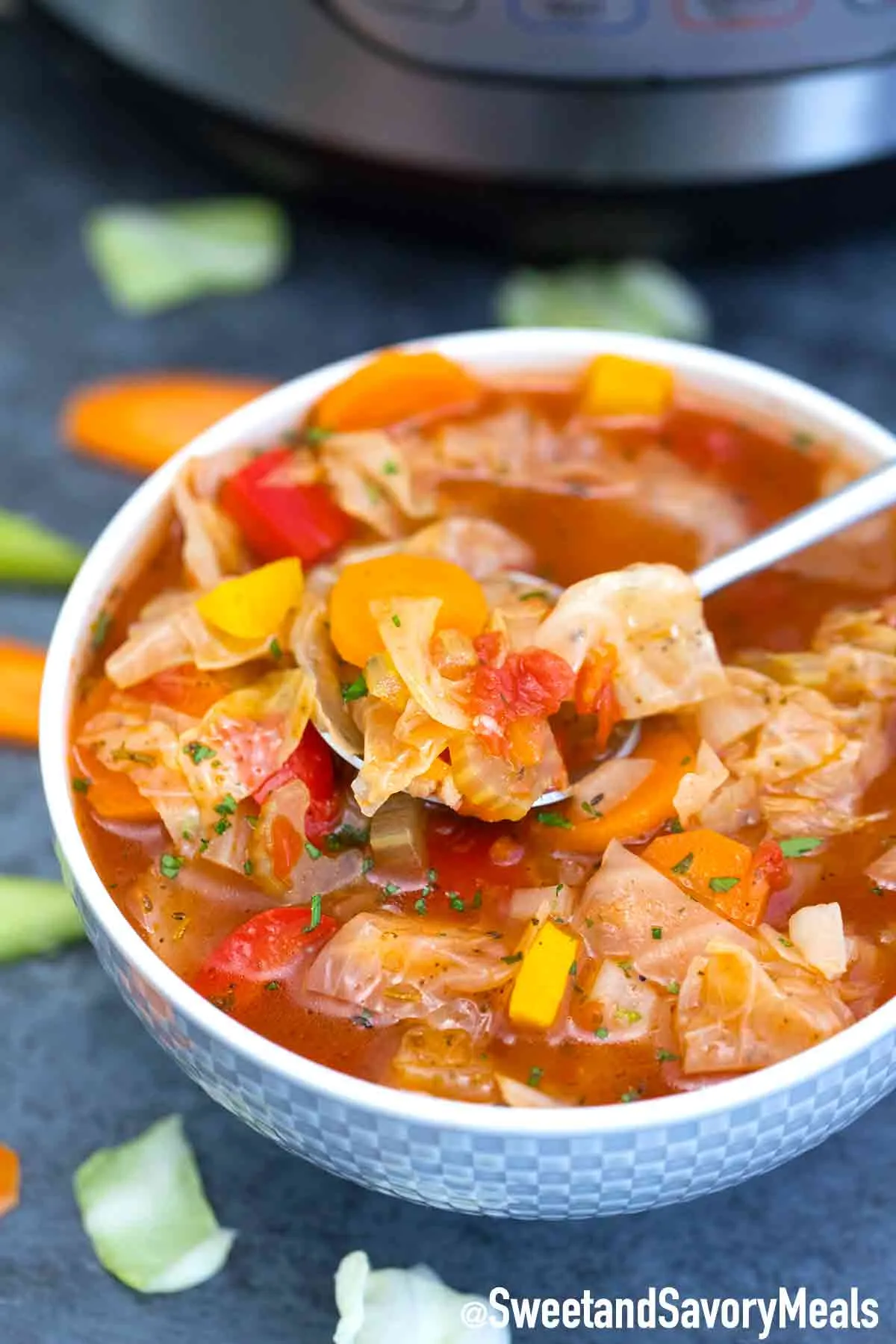 Instant Pot Pork Cabbage Soup
