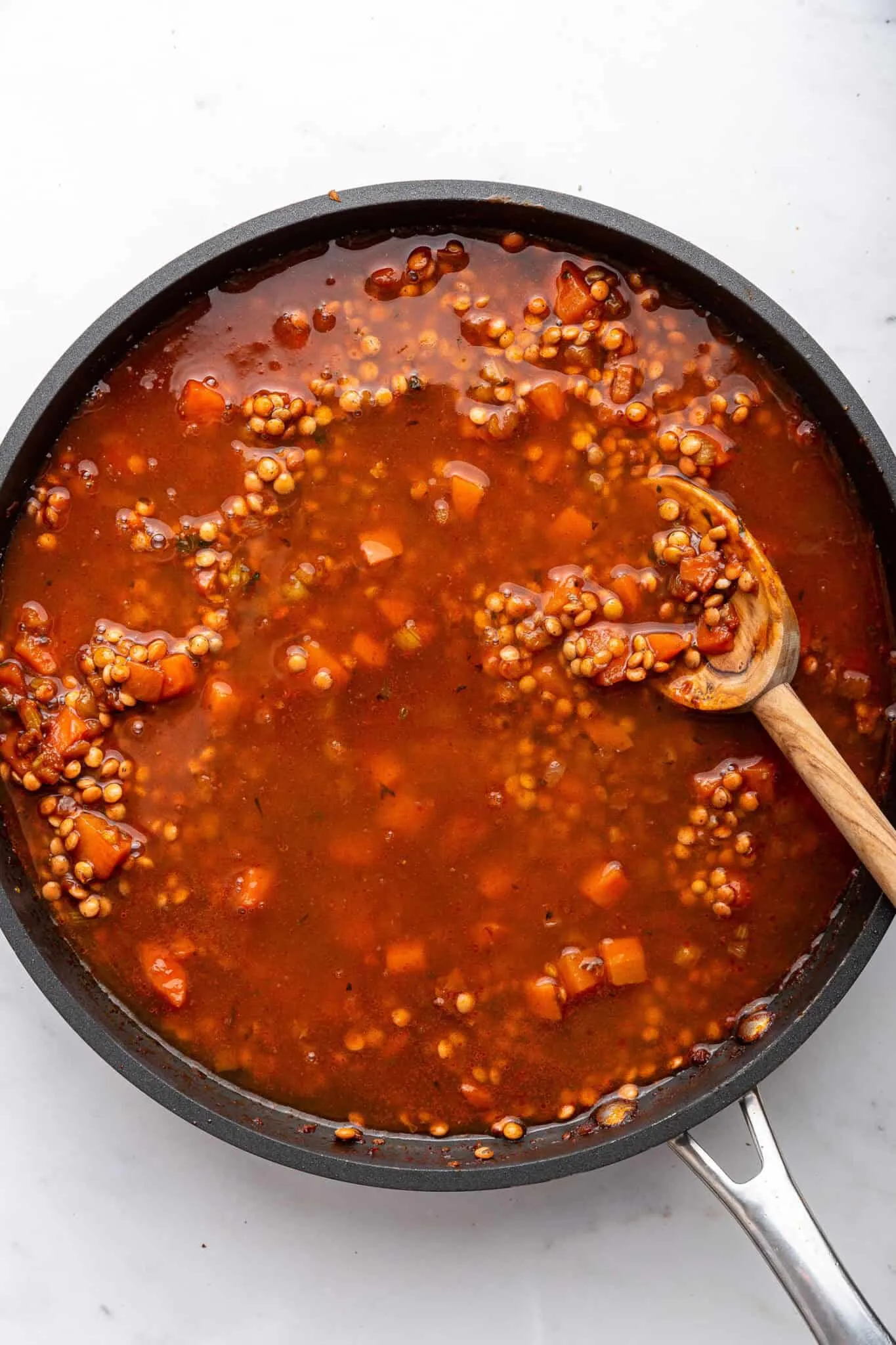 Italian Lentil Stew Ragout