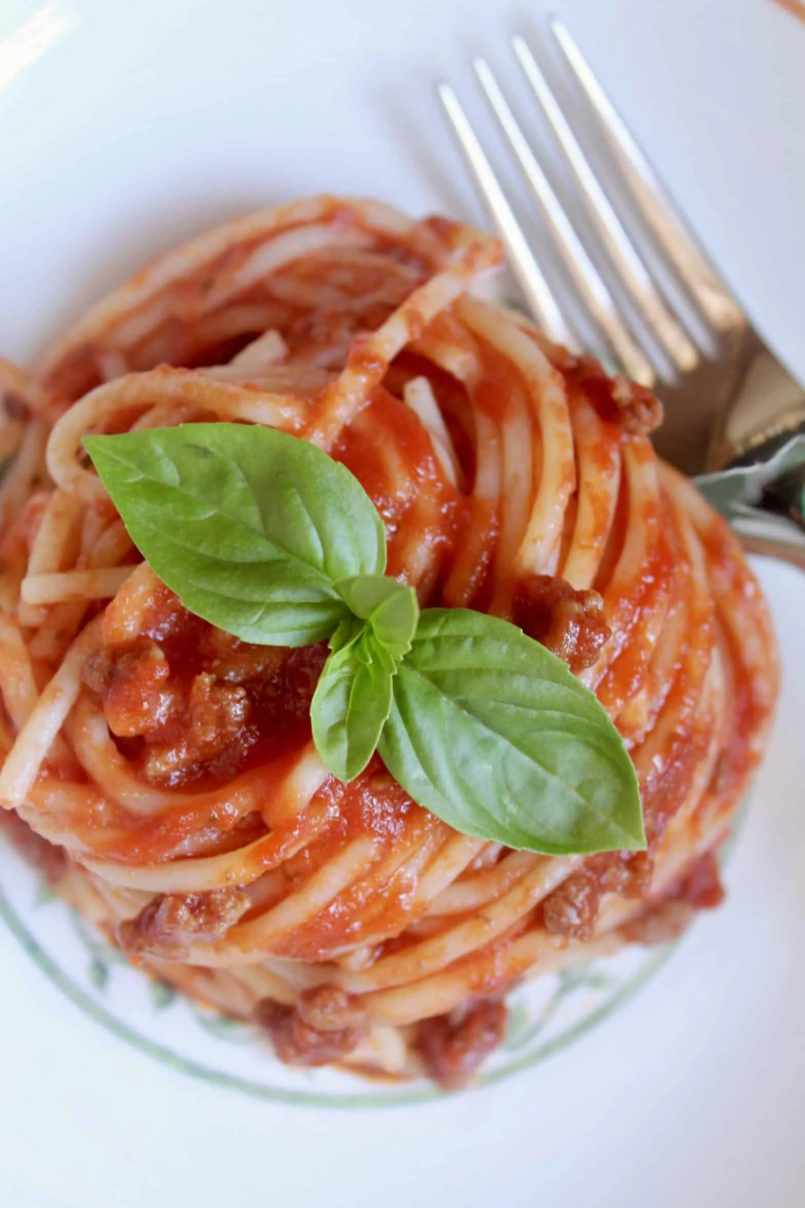 Italian Style Spaghetti Sauce