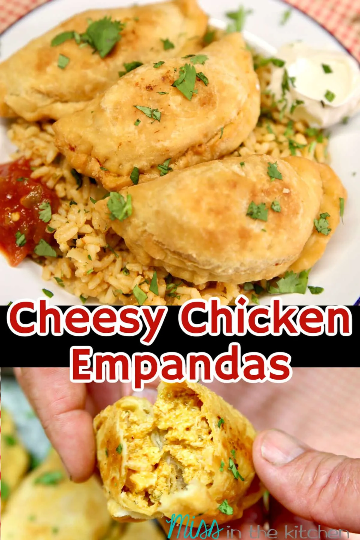 Jodie's Cheesy Chicken Empanadas