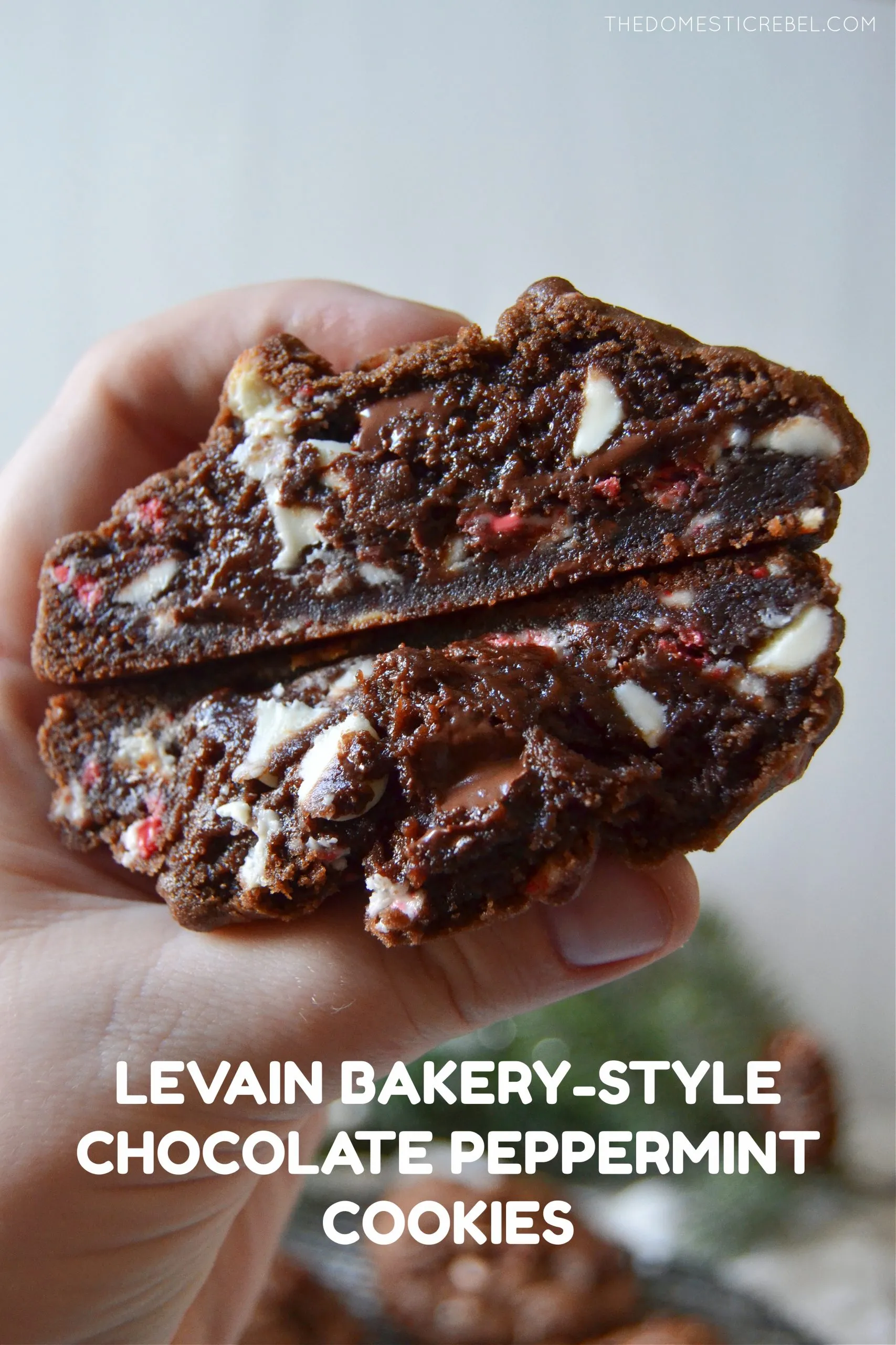 Levain Bakery Chocolate Peppermint Cookies
