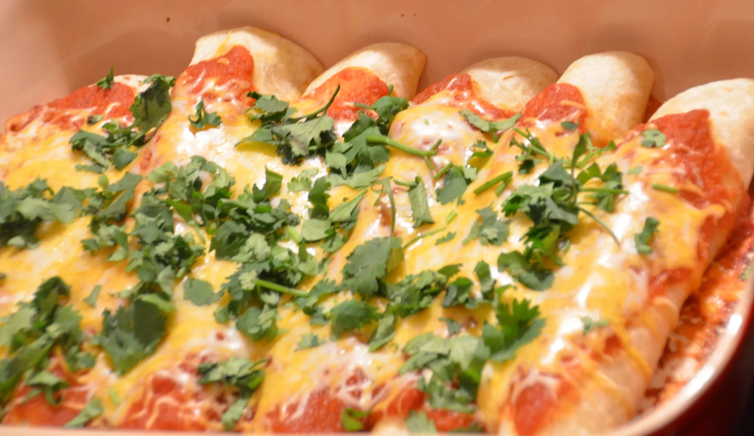 Low Calorie Chicken Enchiladas
