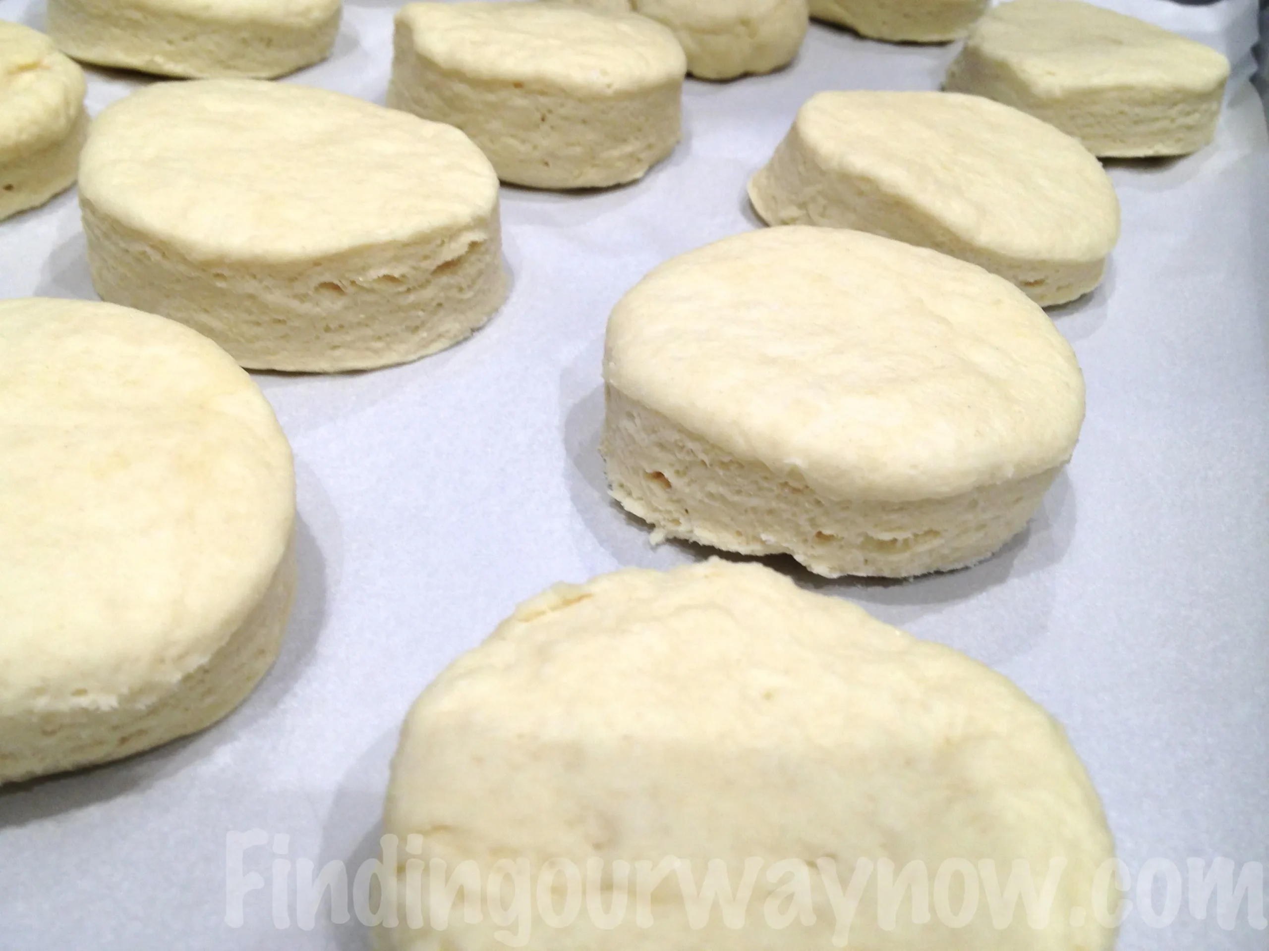Make Ahead Freezer Biscuits