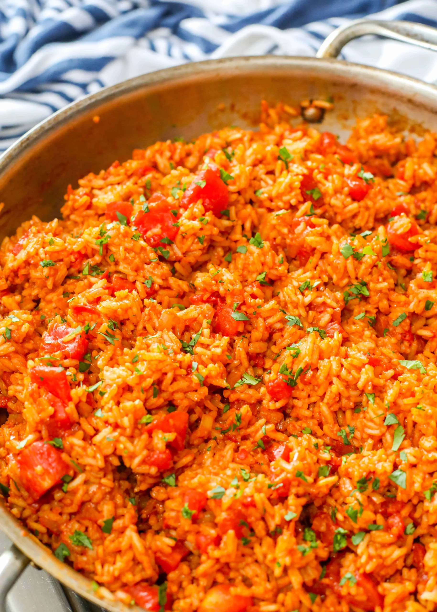 Maria Luisa's Chilango Style Mexican Rice