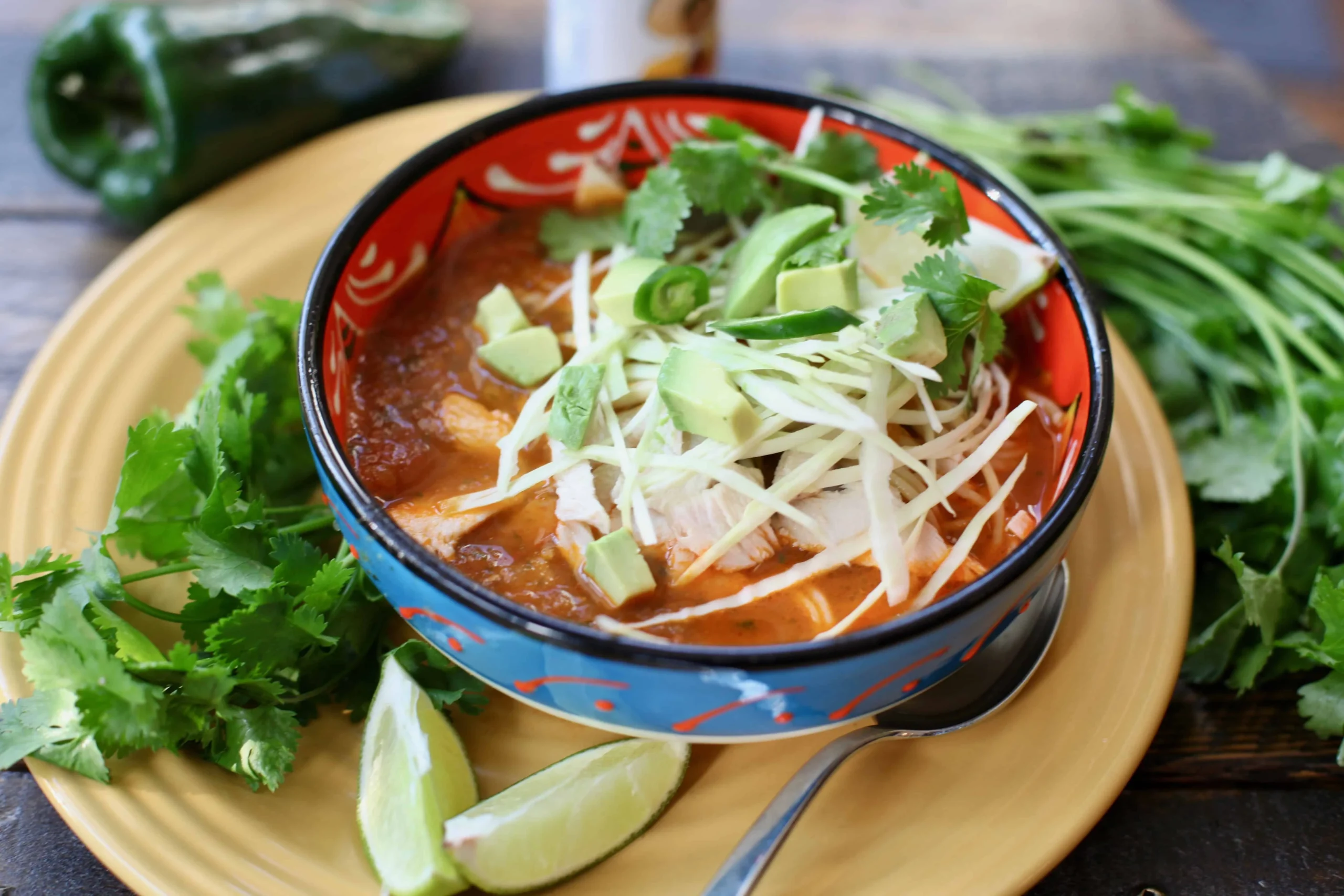 Mexican Style Chicken Noodle Soup
