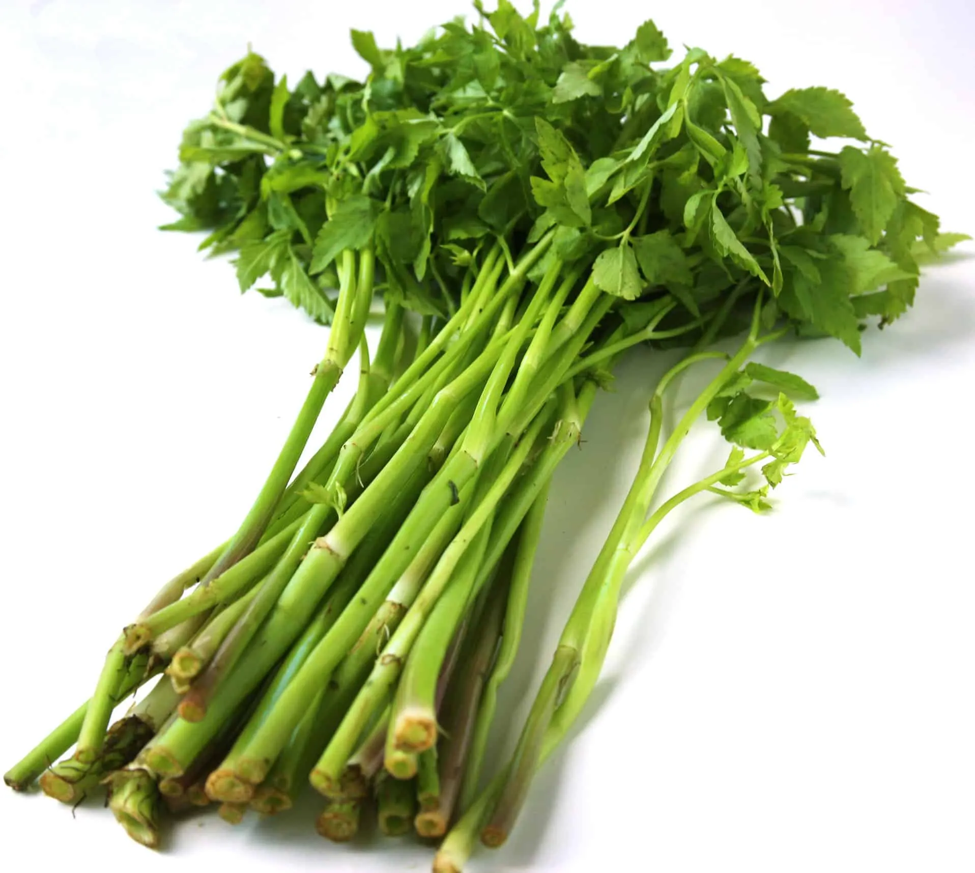 Minari Korean Water Dropwort Salad