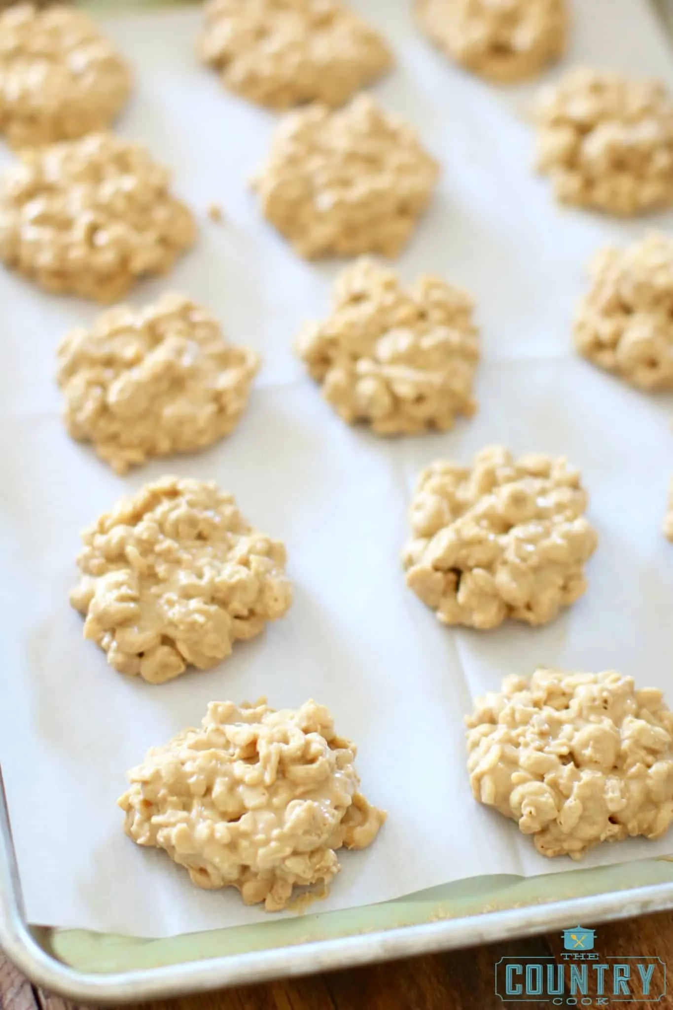 No Bake Avalanche Treats