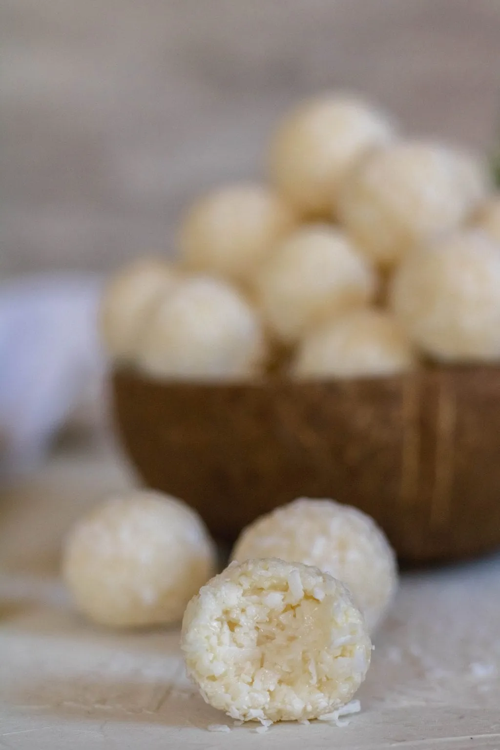 No Bake Coconut Balls with Condensed Milk