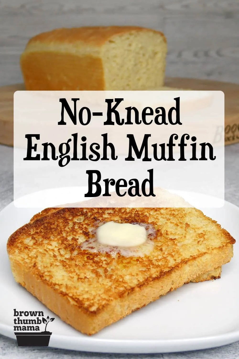 No Knead English Muffin Bread