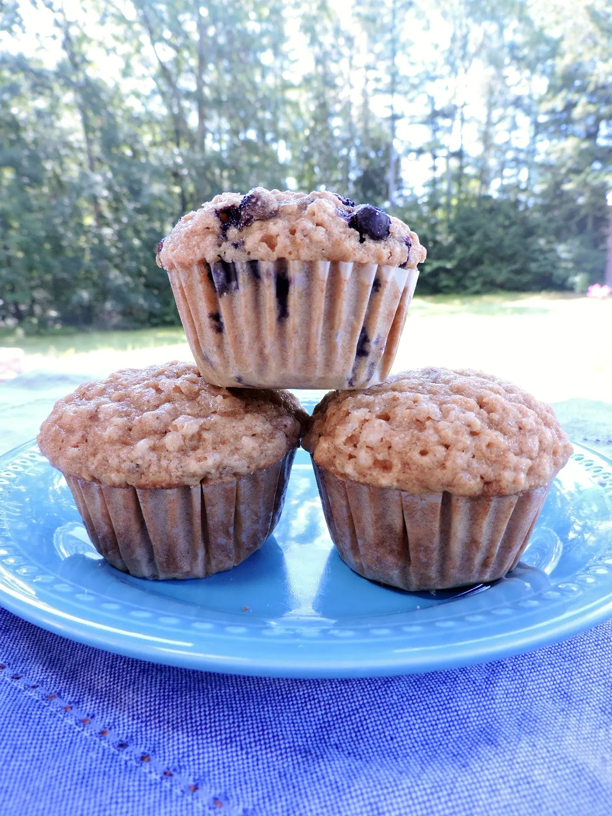 Oat Muffins with Brown Sugar Pecan Crumble
