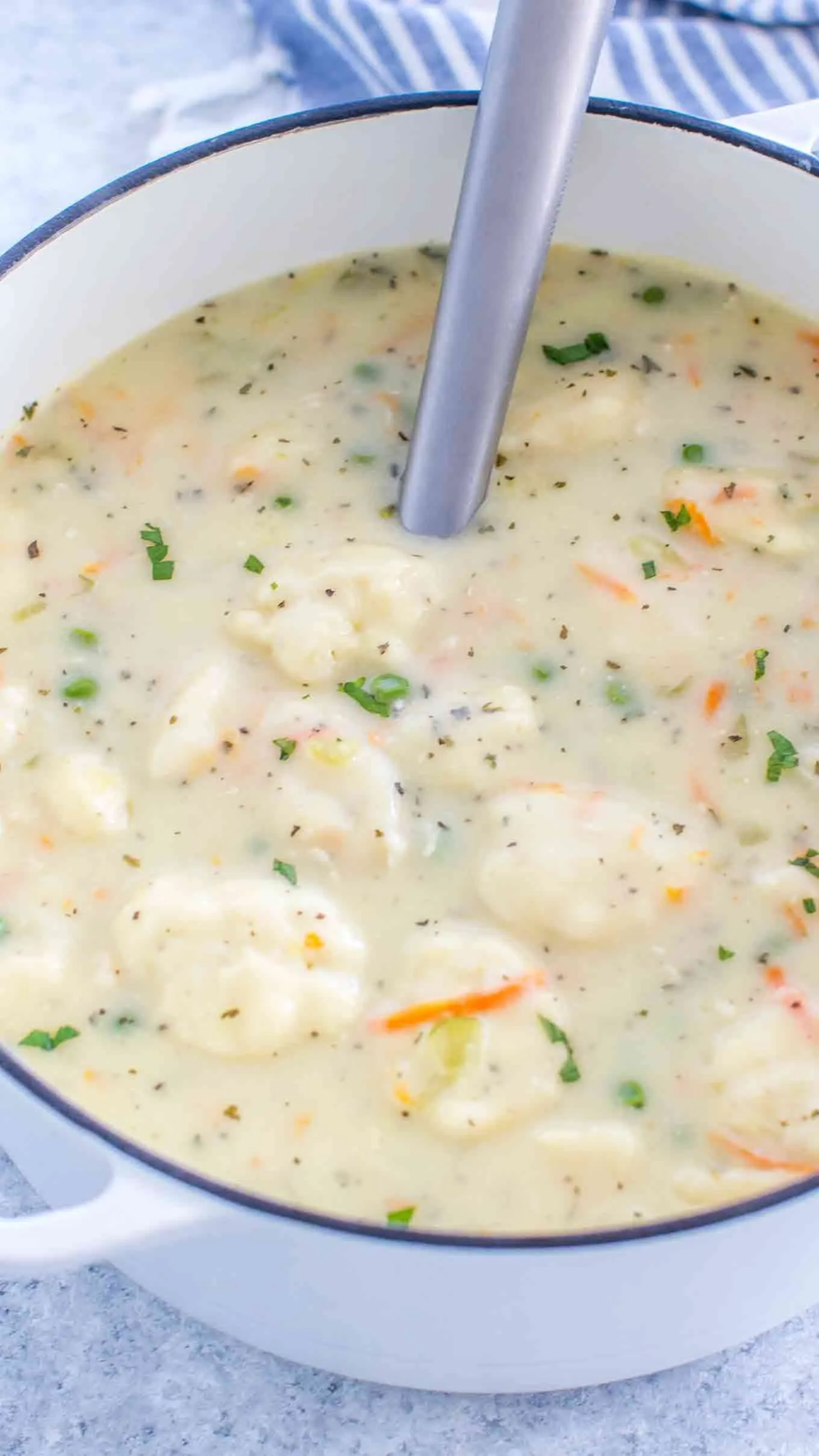 Old Fashioned Chicken and Dumplings Soup