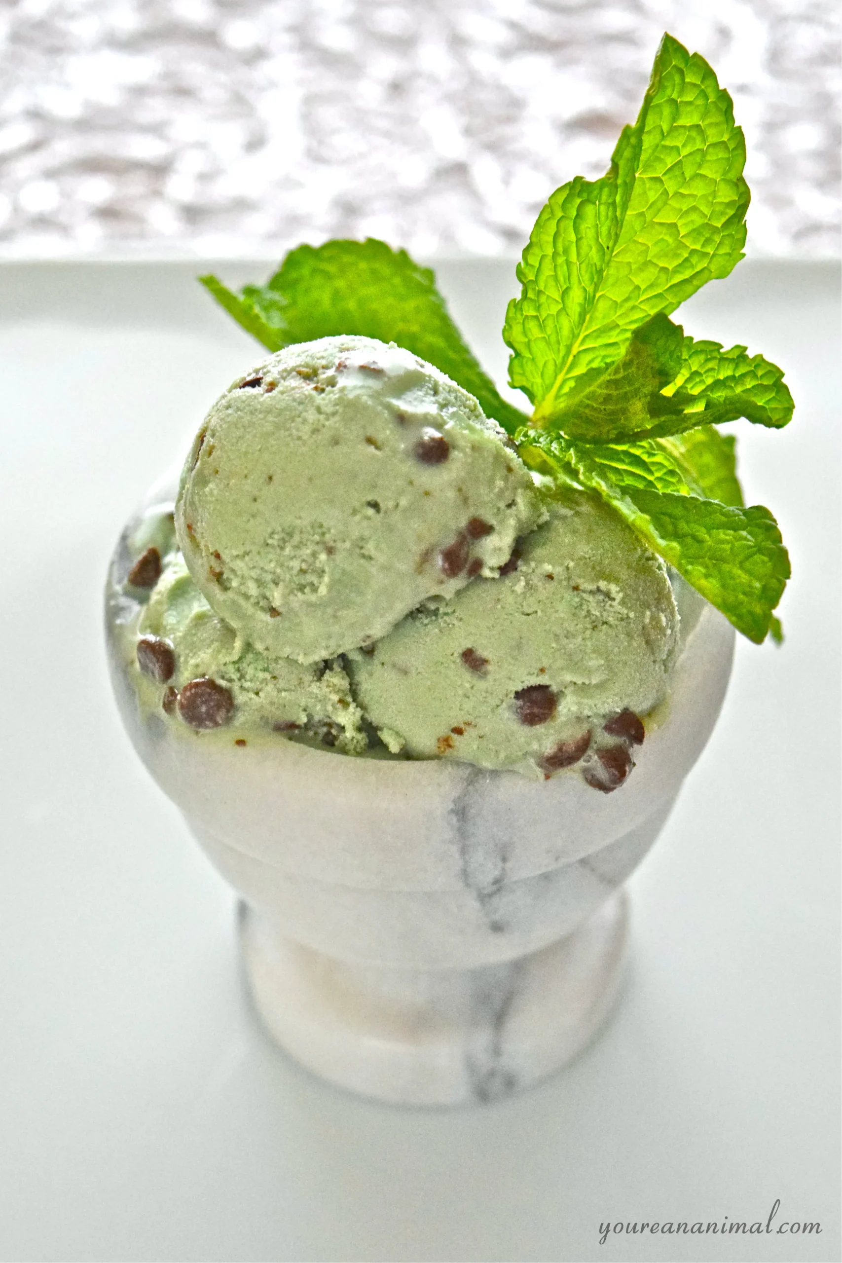 Paleo Keto Mint Chocolate Chip Ice Cream