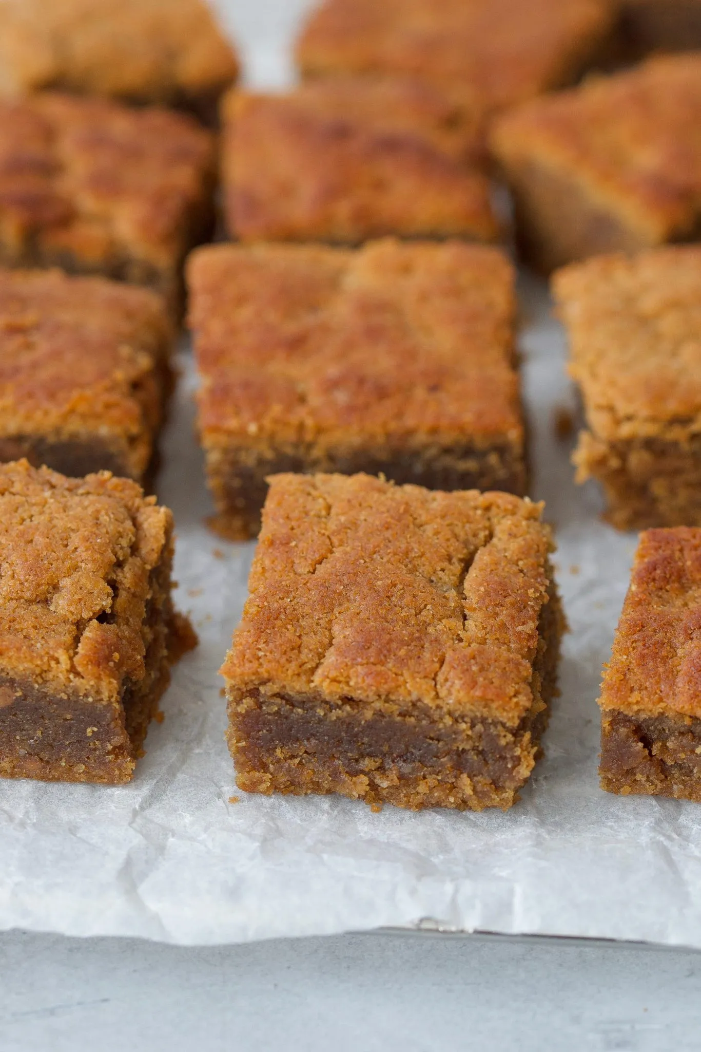 Paleo Strawberry Almond Butter Blondies