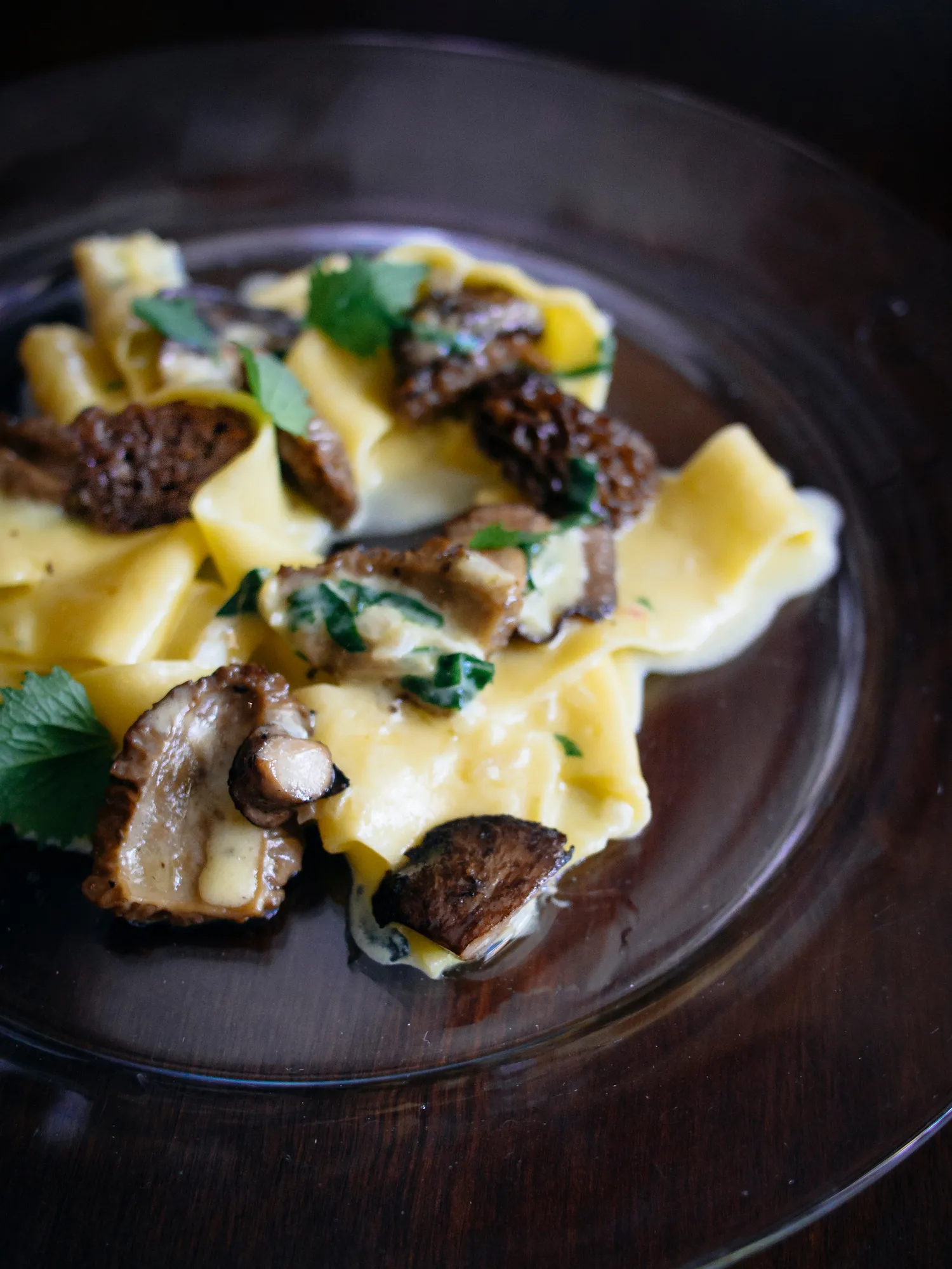 Pasta with Morels Garlic Cream
