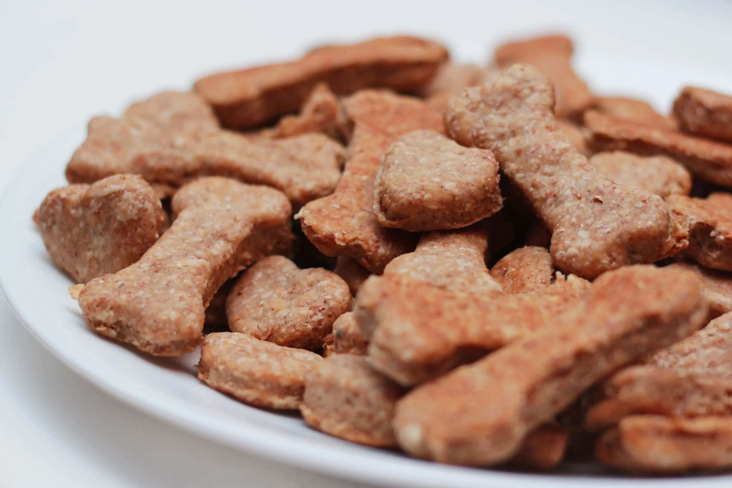Peanut Butter Cheese Dog Biscuits