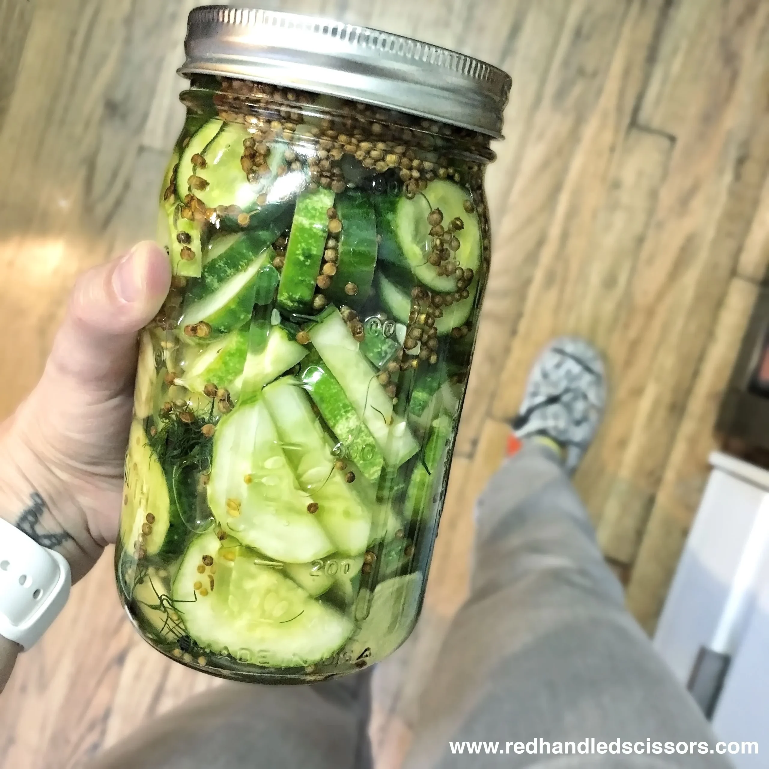 Pickles Fast and Easy