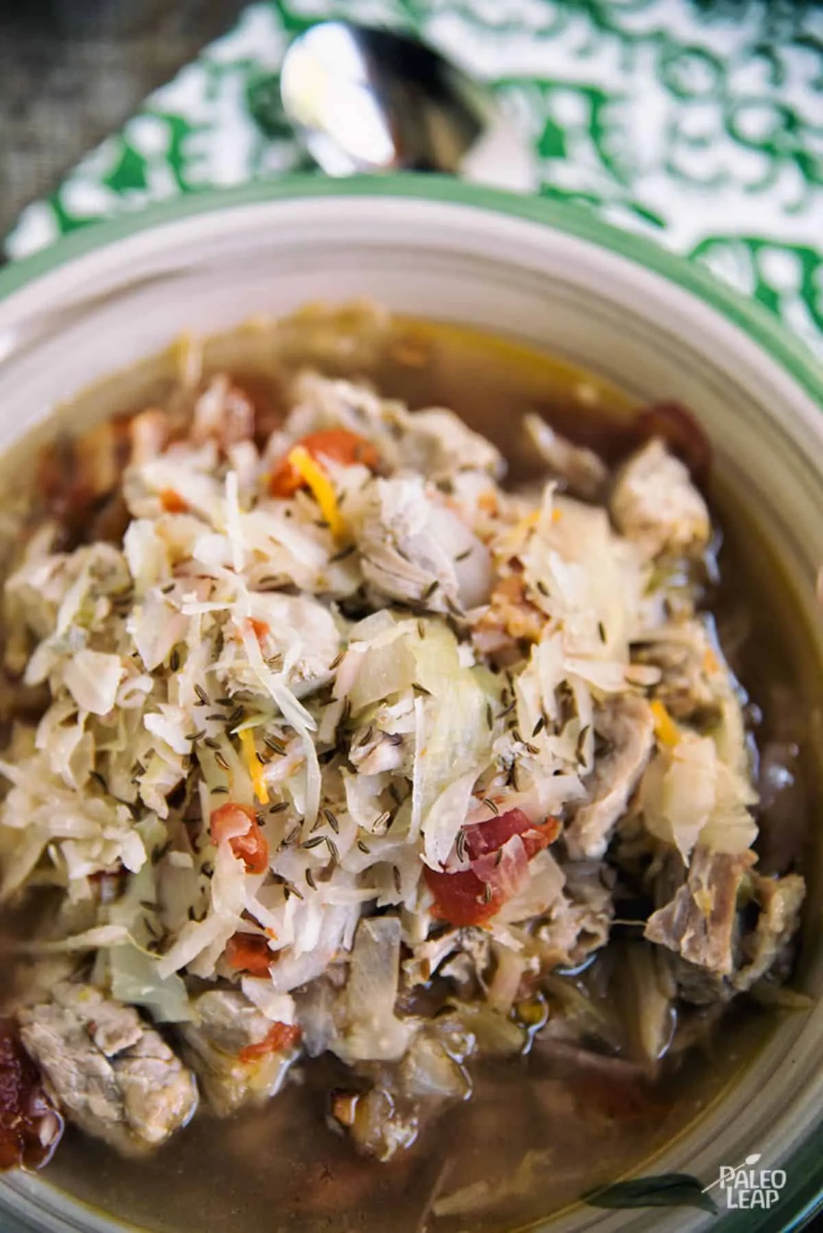 Polish Style Pork Cabbage Soup