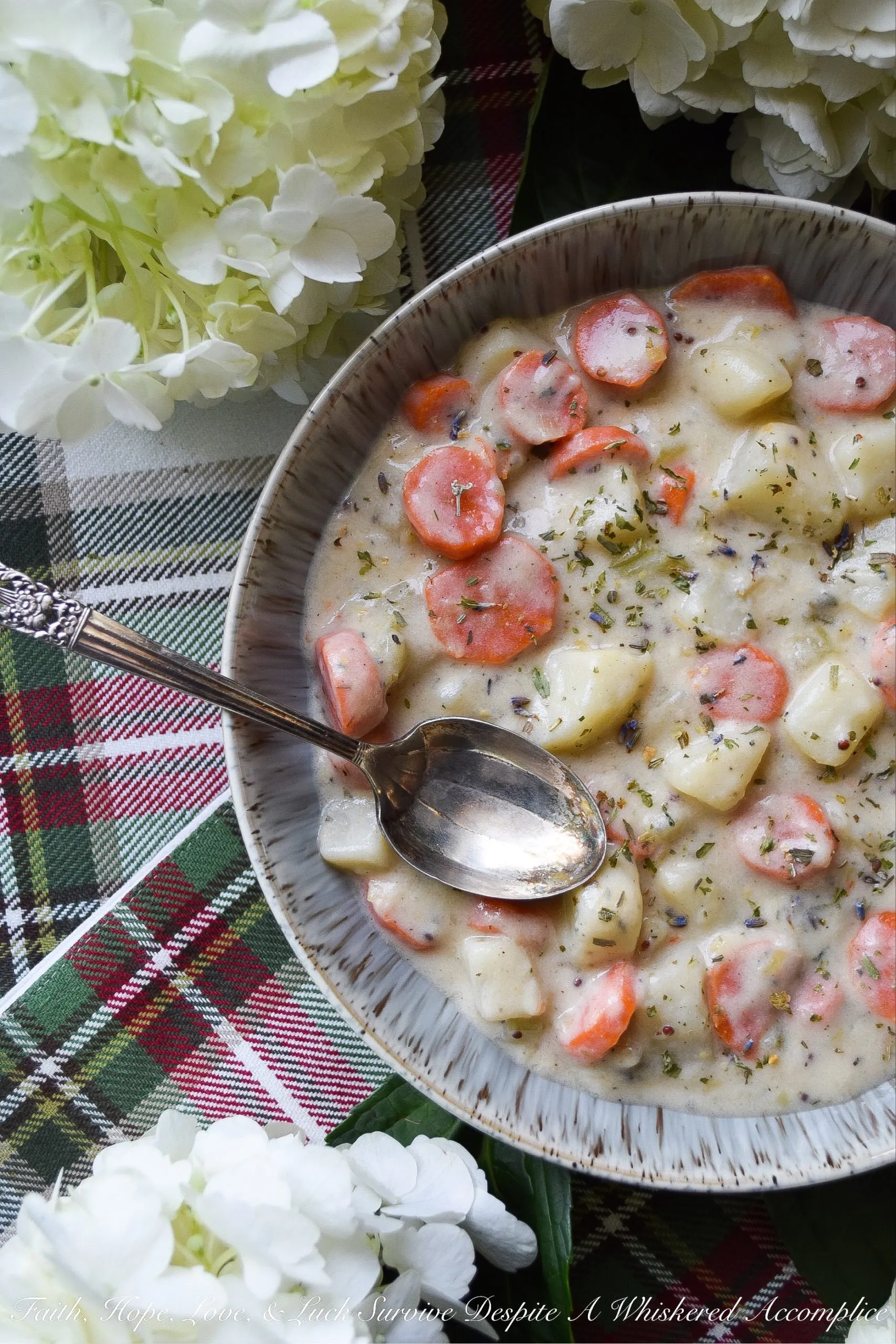 Potato Herbes de Provence Soup with Buttered Leeks