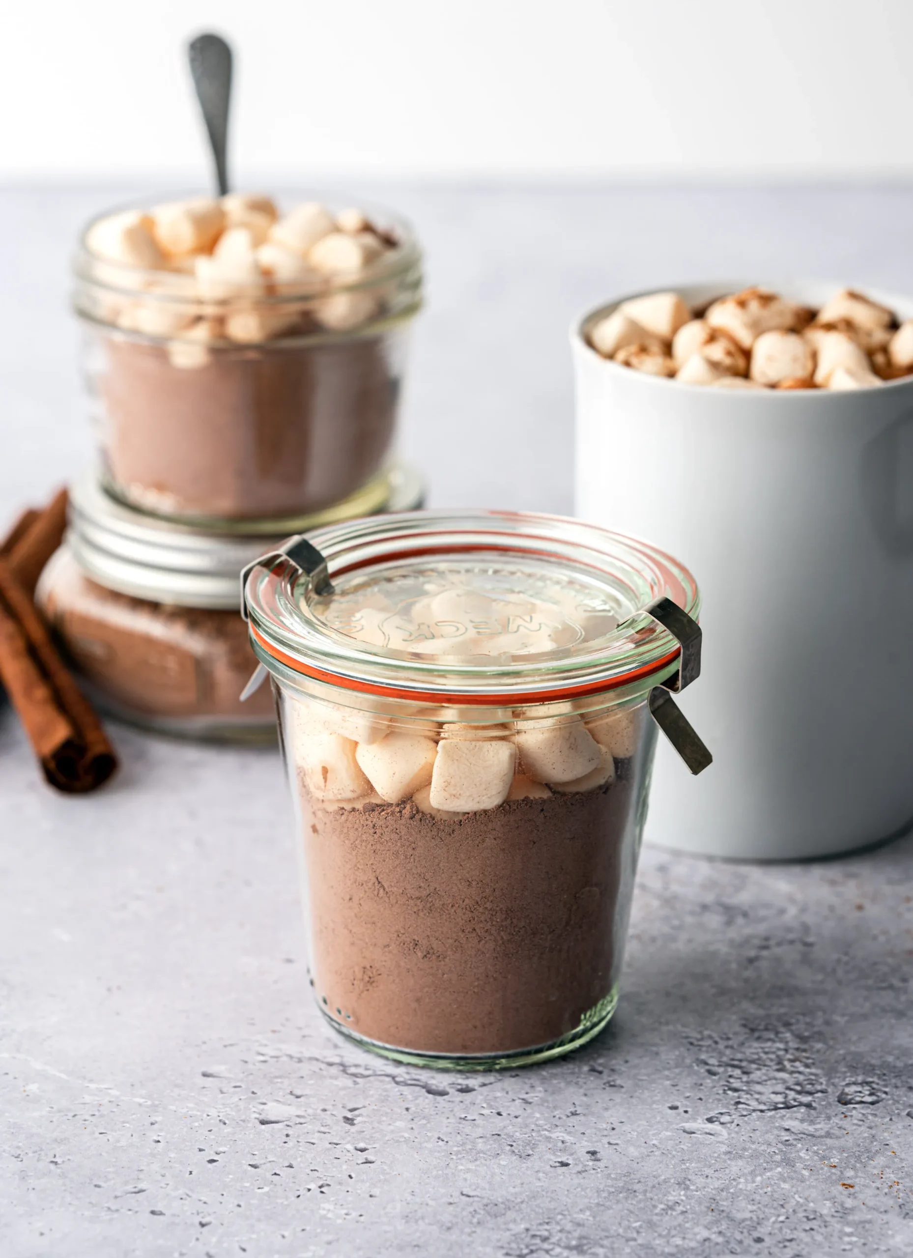 Pumpkin Spice Hot Cocoa Mix