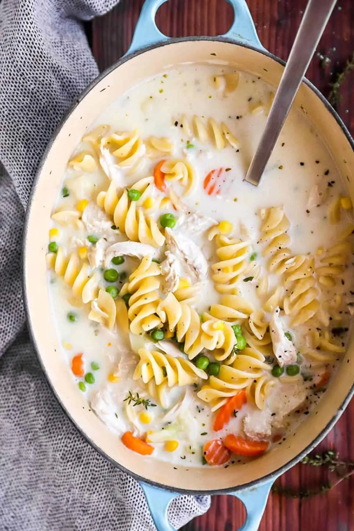Quick Easy Chicken Noodle Soup