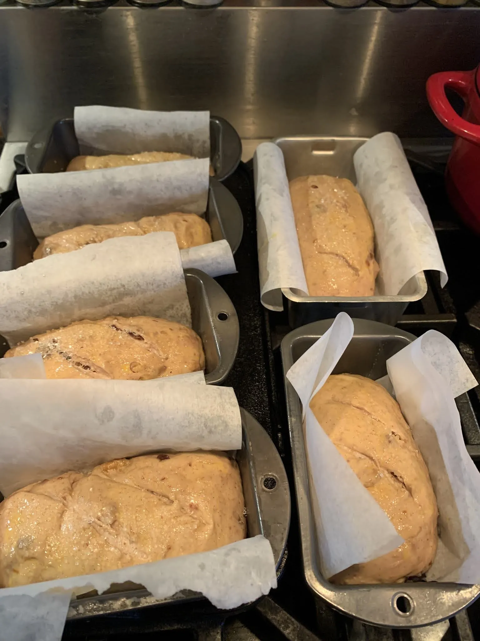 Quick Overnight Sourdough Starter