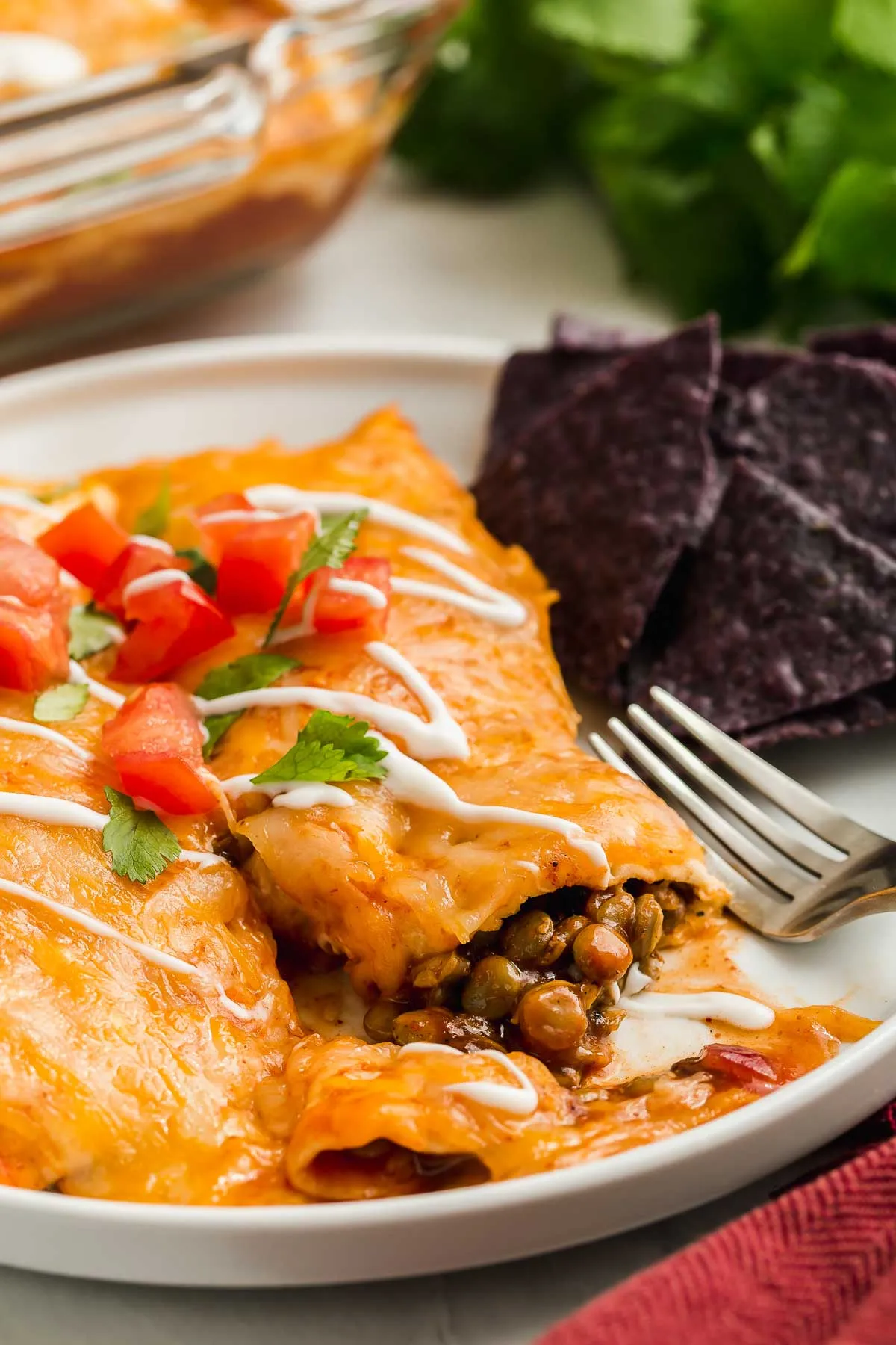 Rice and Lentil Enchiladas