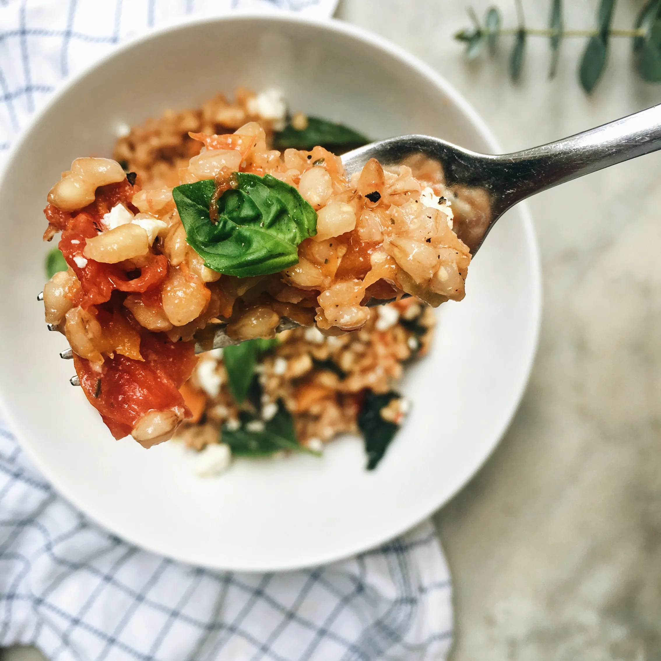 Risotto with Sun Dried Tomatoes and Basil