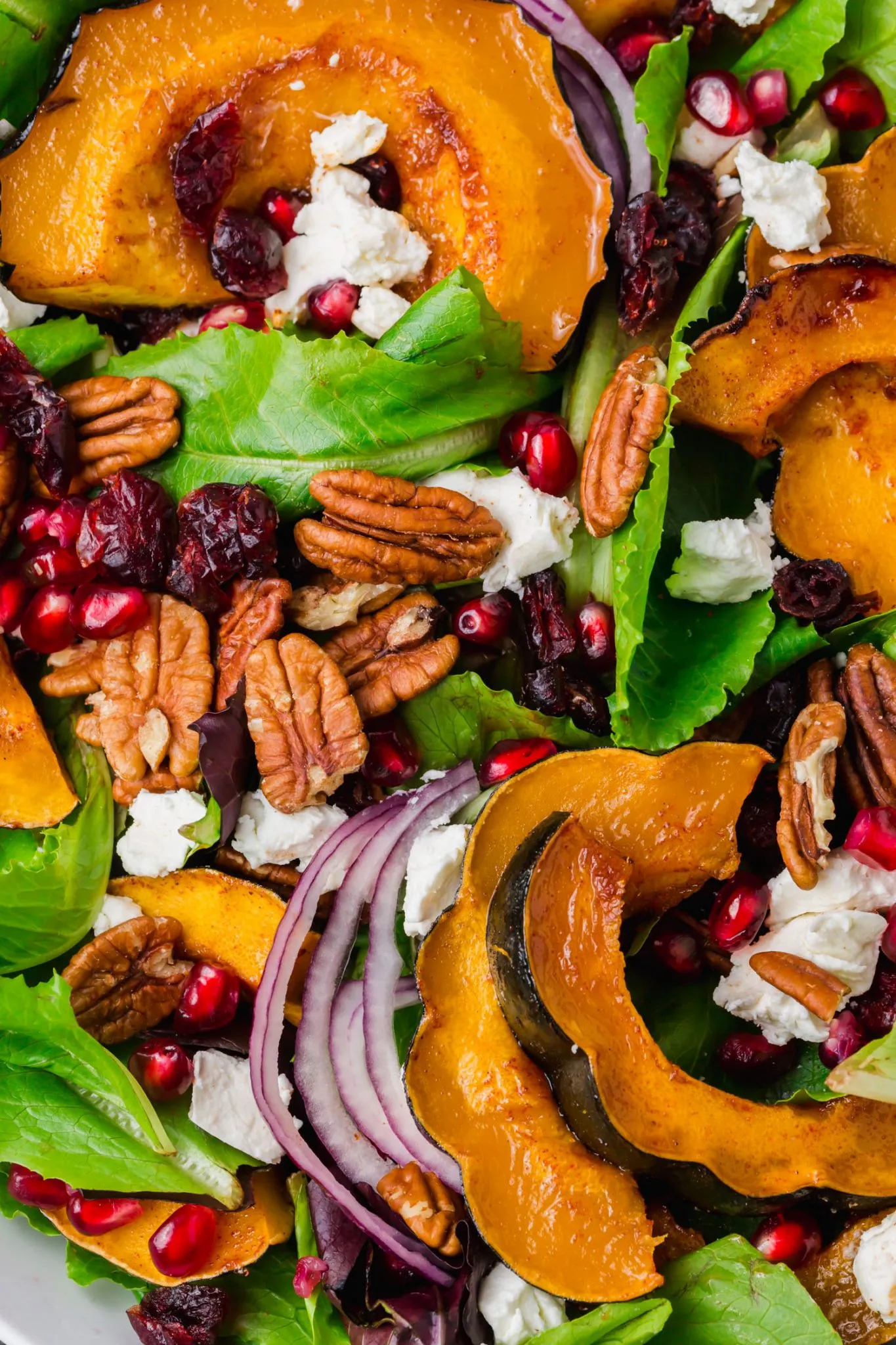 Roasted Acorn Squash Salad with Warm Goat Cheese Rounds