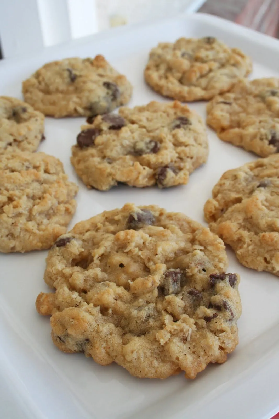 Rocky Mountain Chip Cookies
