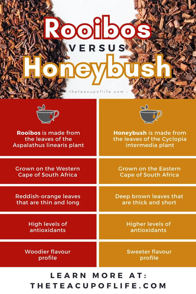 Rooibos Maple Honeybush Affogato