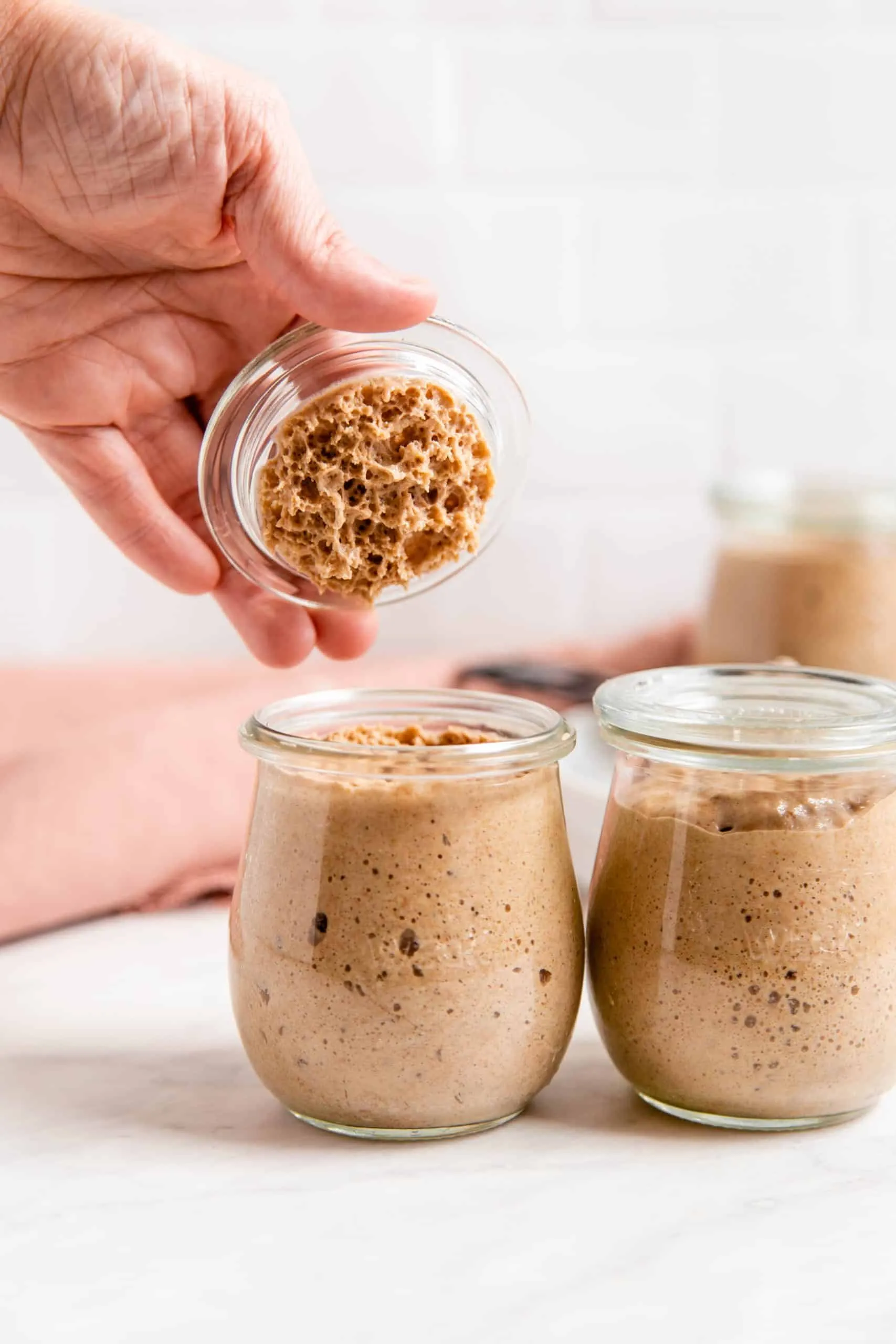 Rye Sourdough Starter