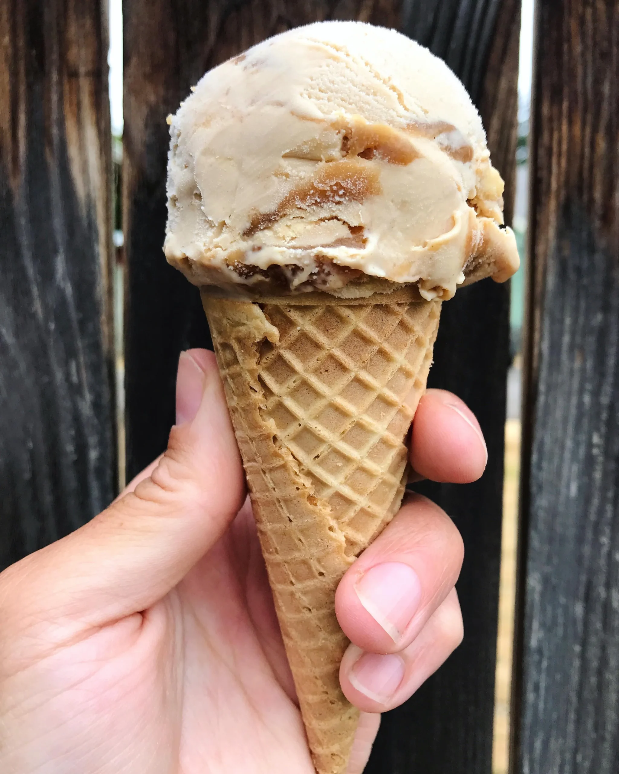 Salty Honey Peanut Butter Ice Cream