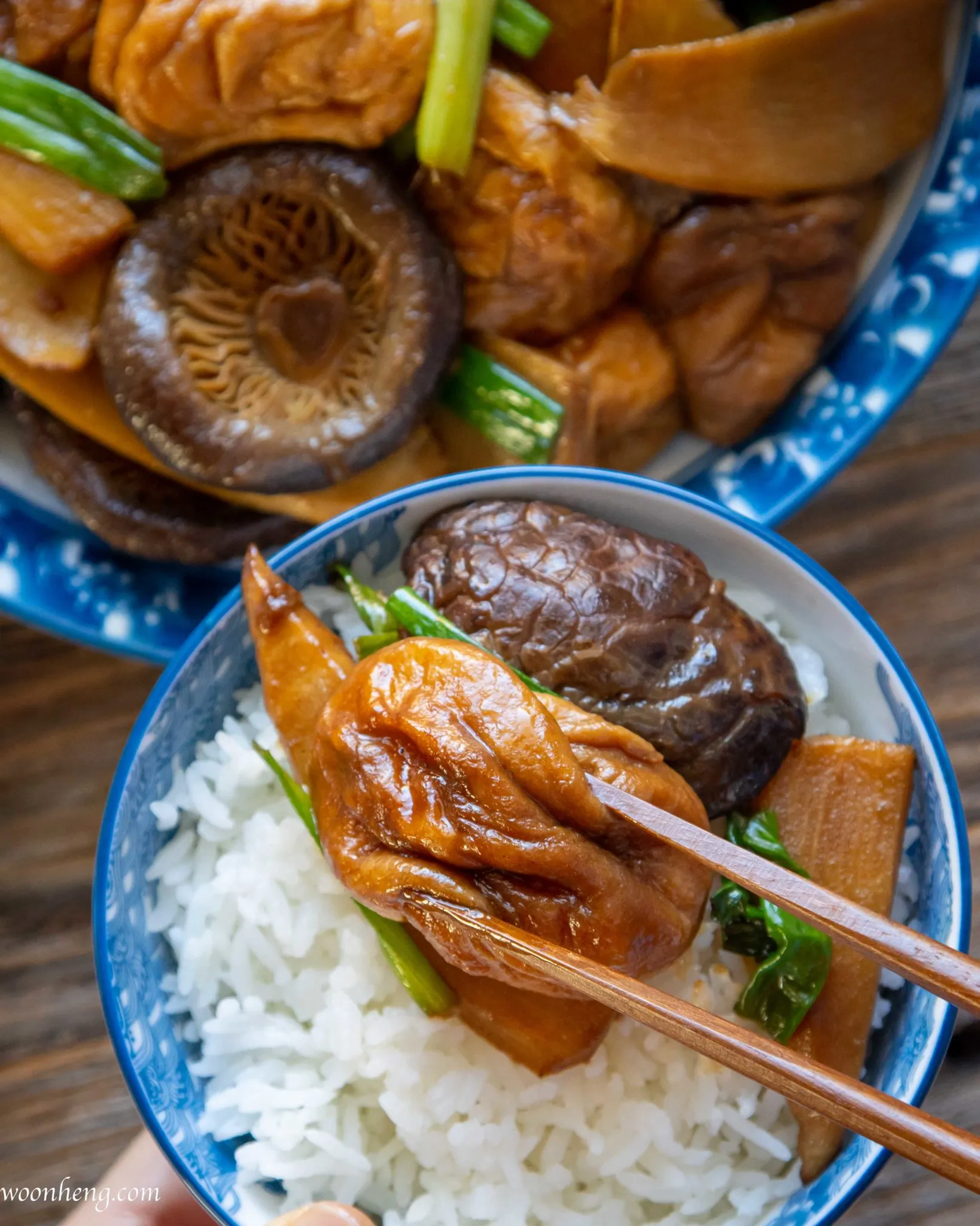 Shiitake Mushroom Gluten Ball