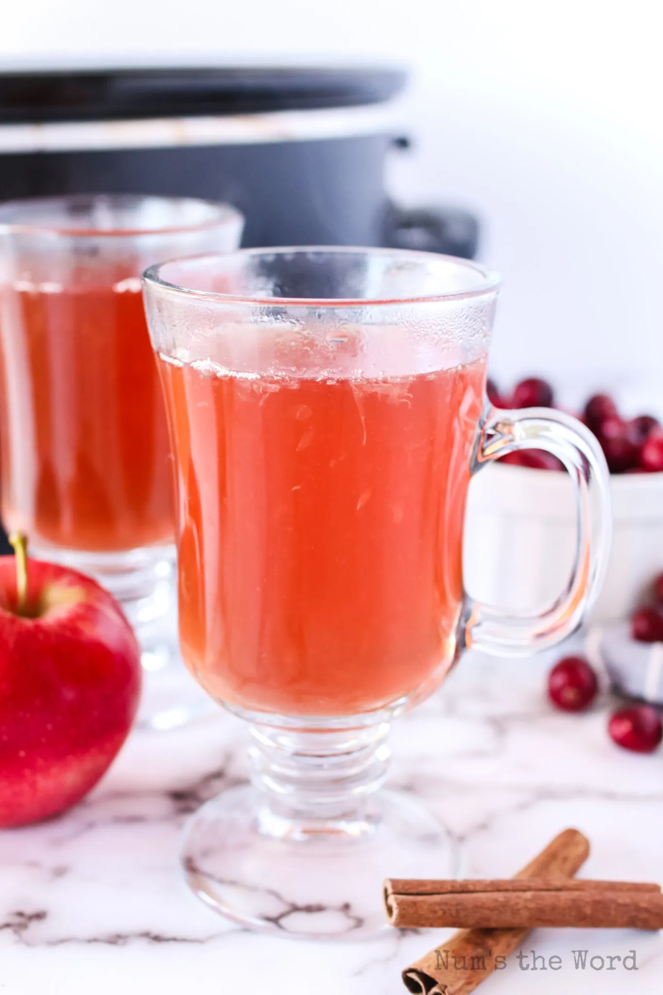 Slow Cooker Cranberry Apple Cider
