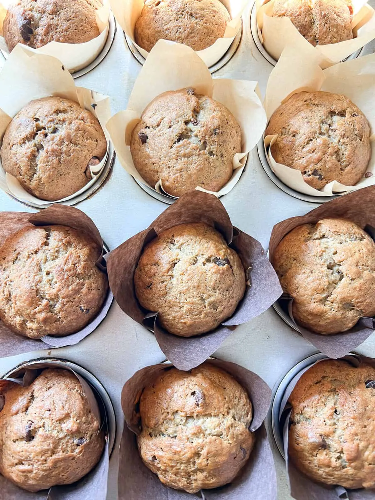 Small Batch Banana Chocolate Muffins