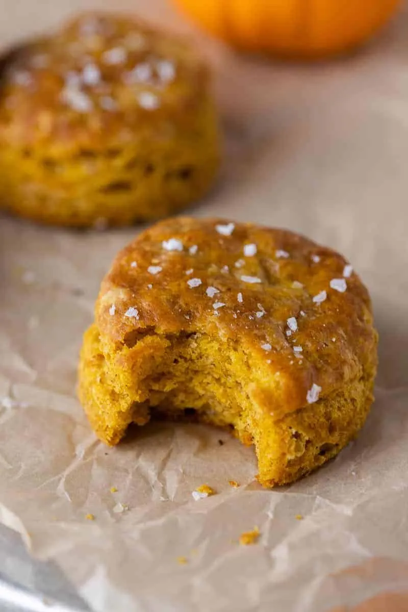 Small Batch Pumpkin Biscuits