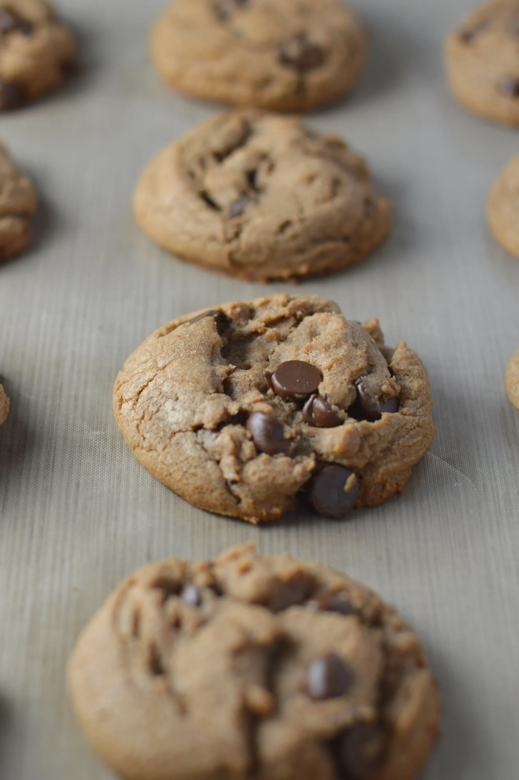 Soft Chewy Nutella Chocolate Chip Cookies