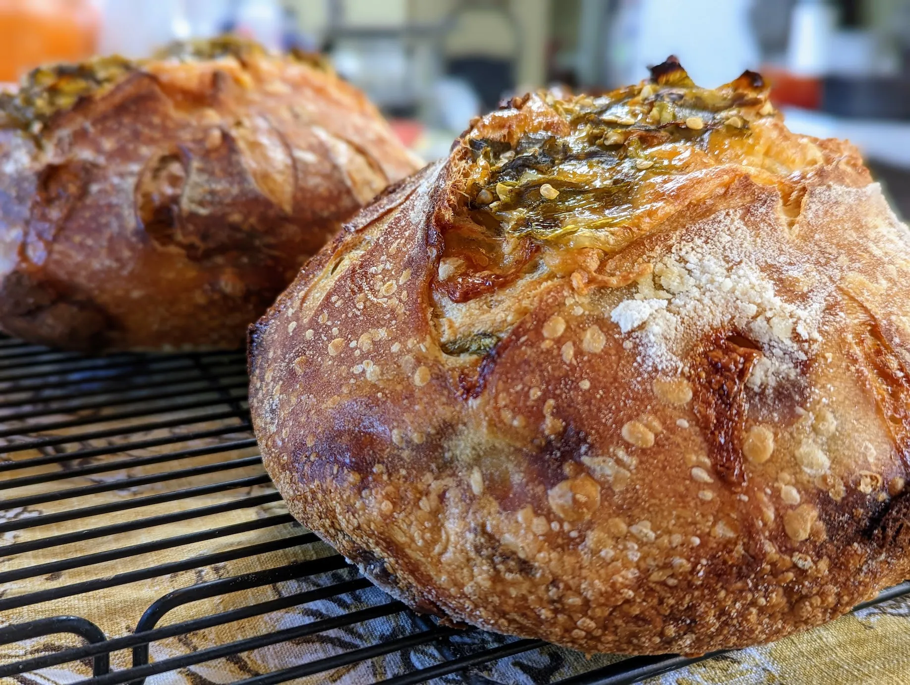 Sourdough Green Chile Rolls