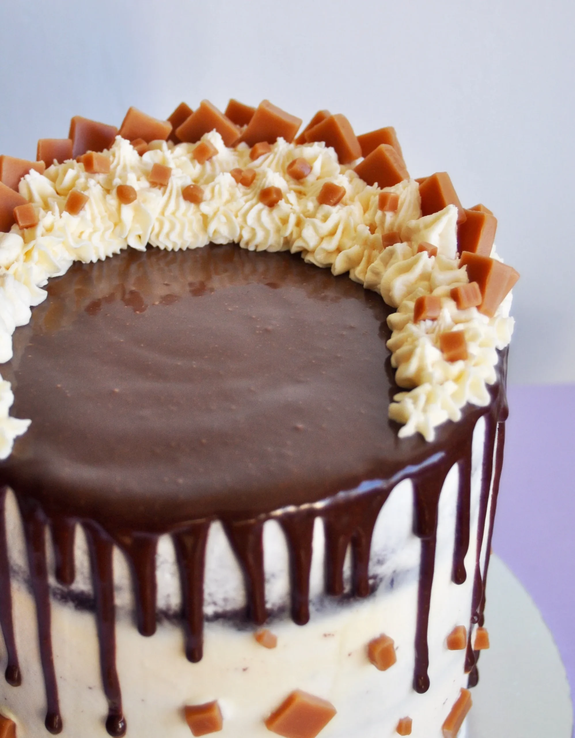 Special Fudge Cake and Icing