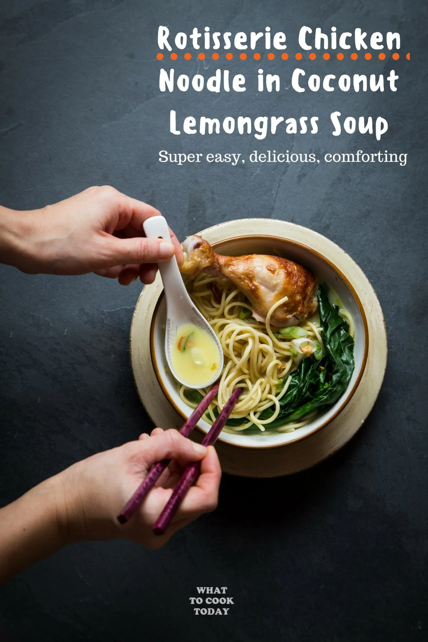 Speedy Rotisserie Chicken Noodle Coconut Lemongrass Soup