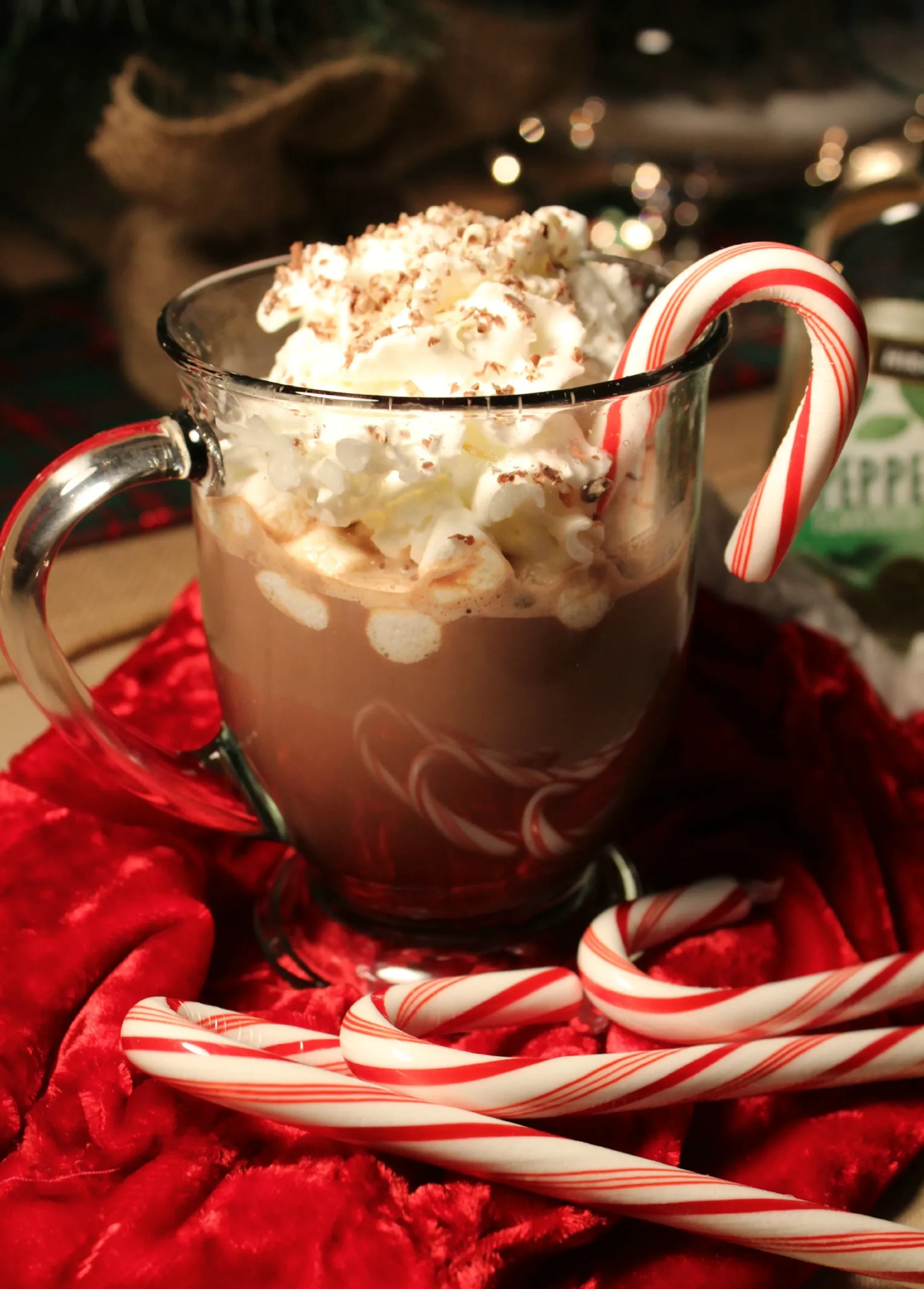 Spiced Bittersweet Hot Chocolate with Peppermint Schnapps