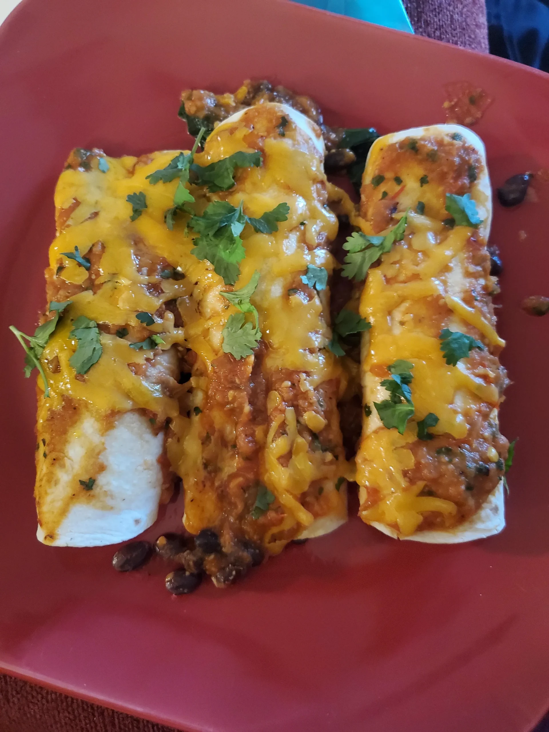 Spinach Black Bean Enchiladas with Homemade Sauce