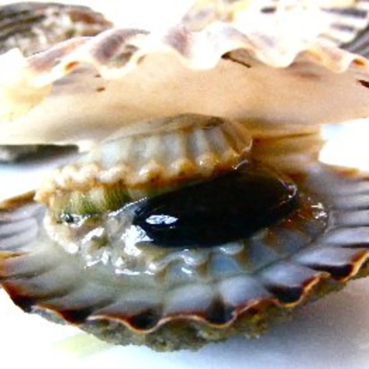Steamed Taylor Bay Scallops in a Spicy Caper Zupetta